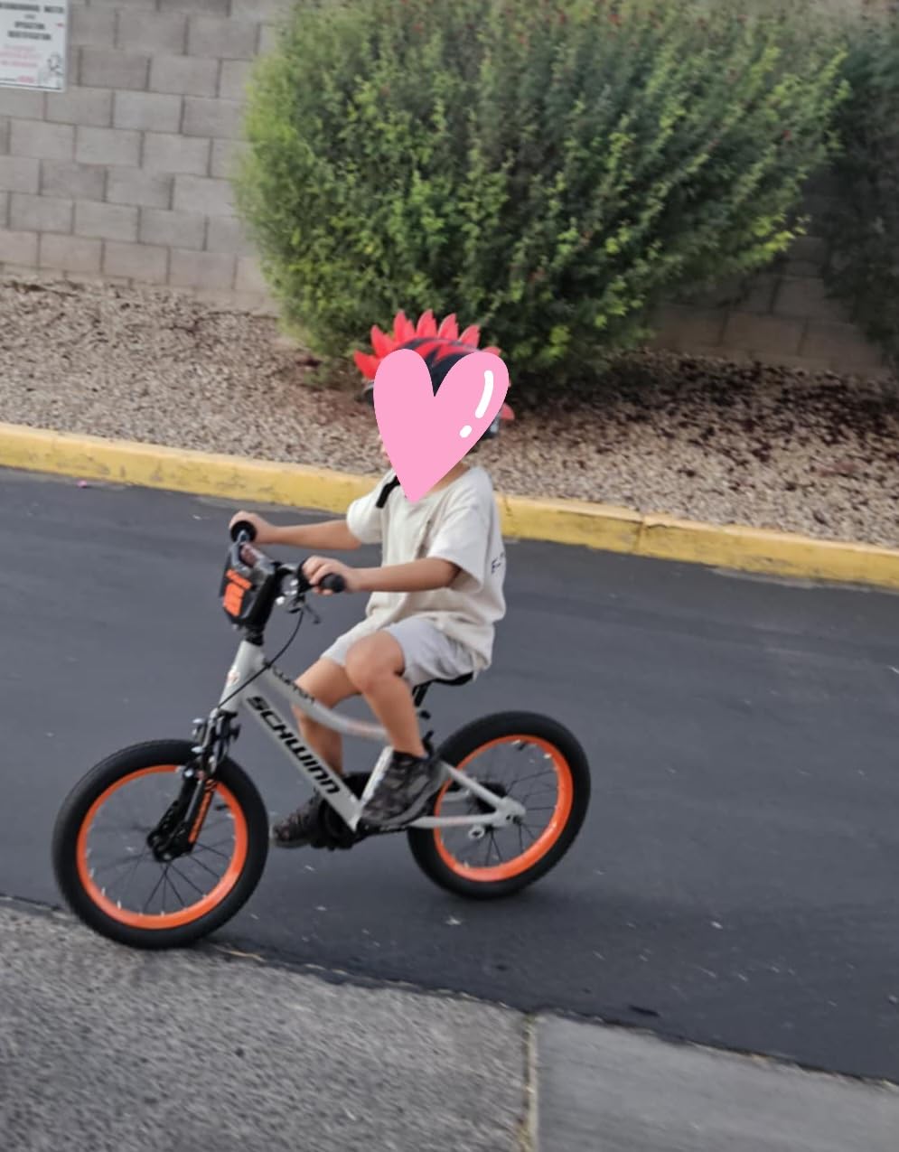 Schwinn Firehawk or Scorch Bike, 16 or 20 Inch Bike for Kids Ages 3-13, with Training Wheels or Adjustable Seat, Rear Coaster Brake & Front or Front & Rear Hand Brake, for Girls & Boys customer photo 1