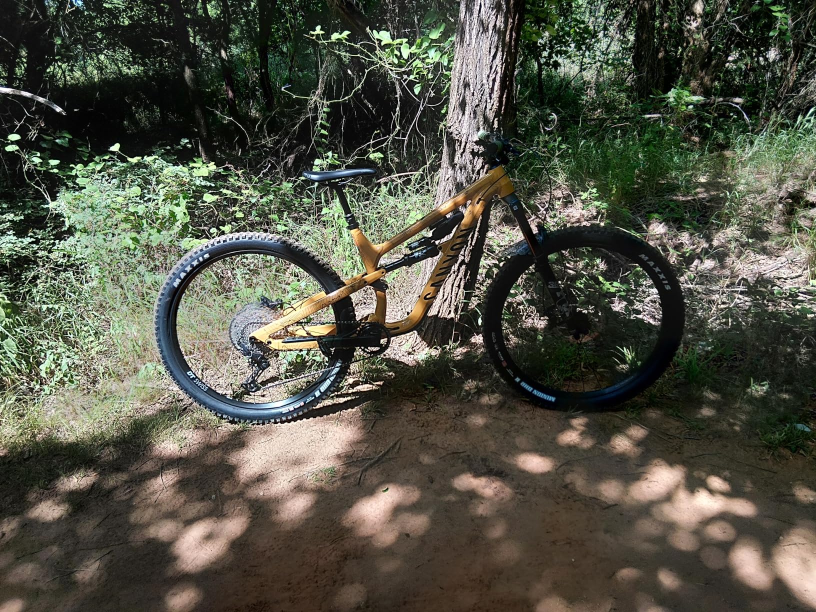 Canyon Spectral 6 customer photo 1
