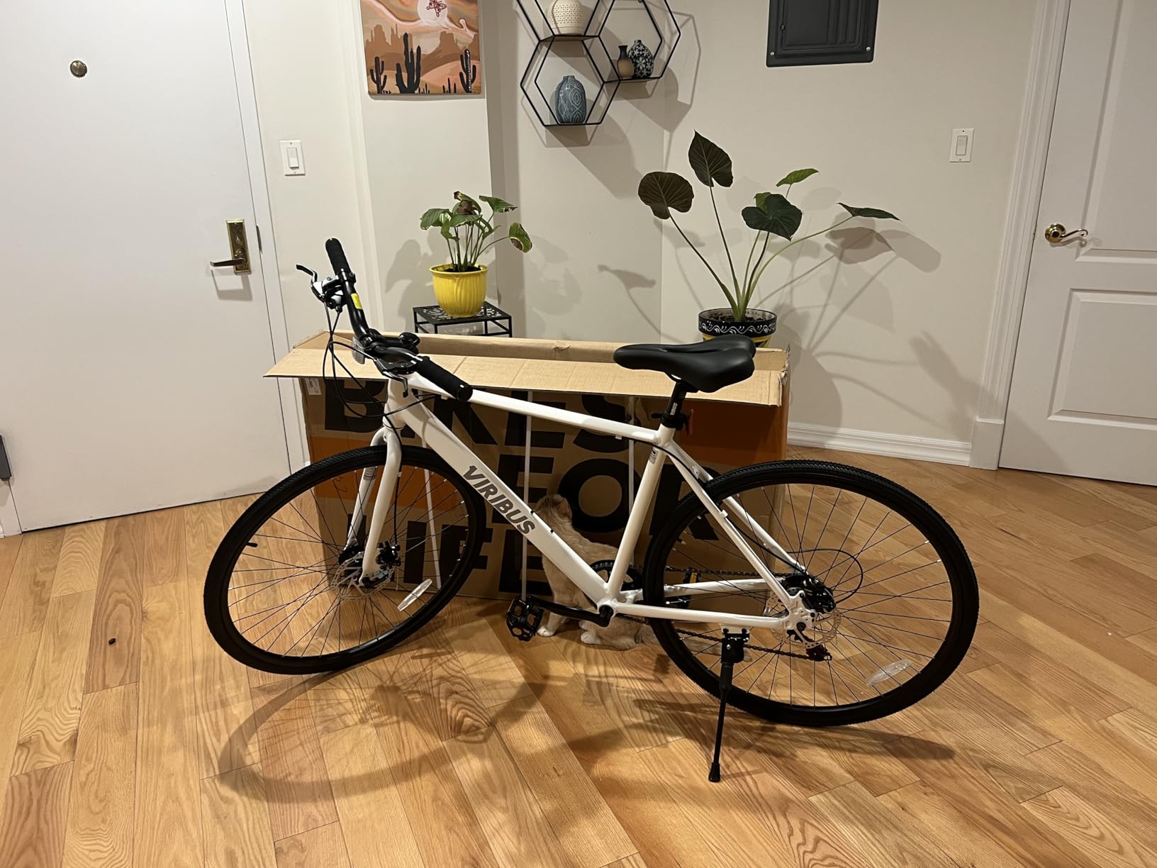 VIRIBUS Hybrid Bikes, 28 inch Mens Bike with Lightweight Aluminum Frame, 700C Bikes for Tall Men, 7 Speed Vintage Retro Hybrid Bicycles for City Commuters, Adult Road Bike Male for Fitness, White customer photo 2