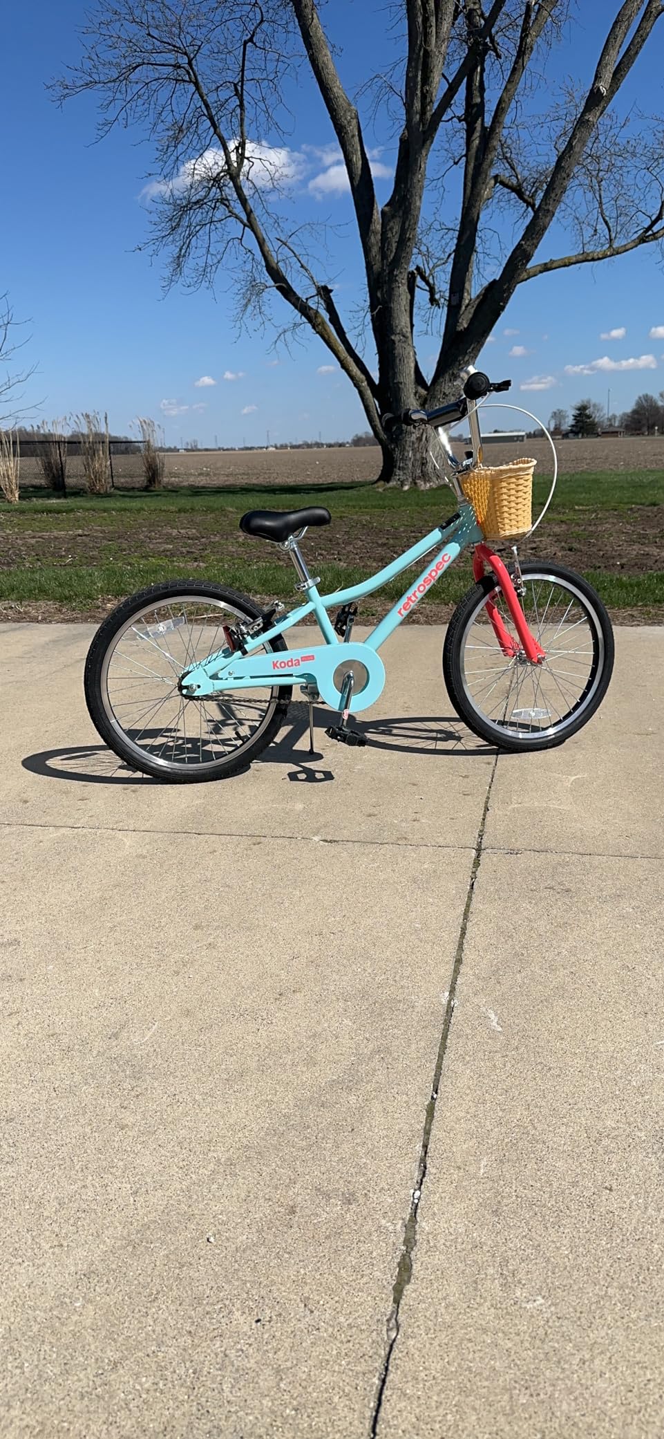 Retrospec Koda Plus Kids Bike for Boys & Girls Ages 6-8 Years - Children's Bicycle, Adjustable Seat & Handlebars customer photo 2