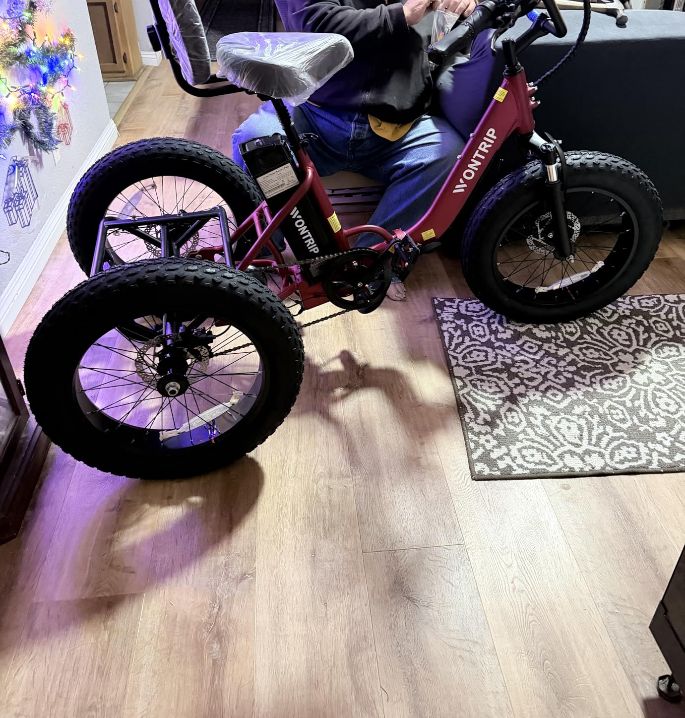 Electric Tricycle for Adults, Foldable 3-Wheel Electric Bike with 1350W Peak Motor, 48V 15.6Ah Removable Battery, 20