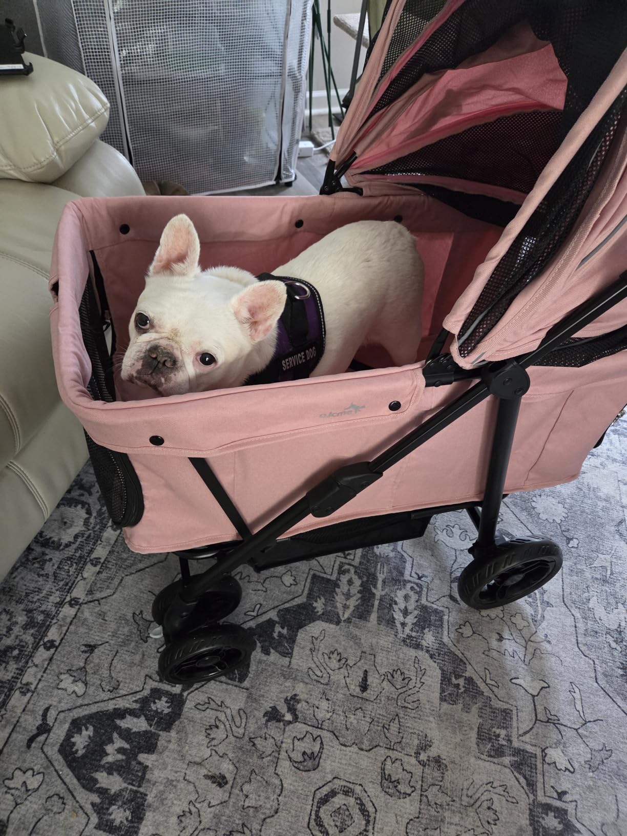 Dog Stroller for Large & Medium Dogs (20-132 lbs), for 2 Small Dogs | Pet Stroller, Extra Large Heavy Duty, Foldable & Ventilated, Pink or Navy customer photo 2