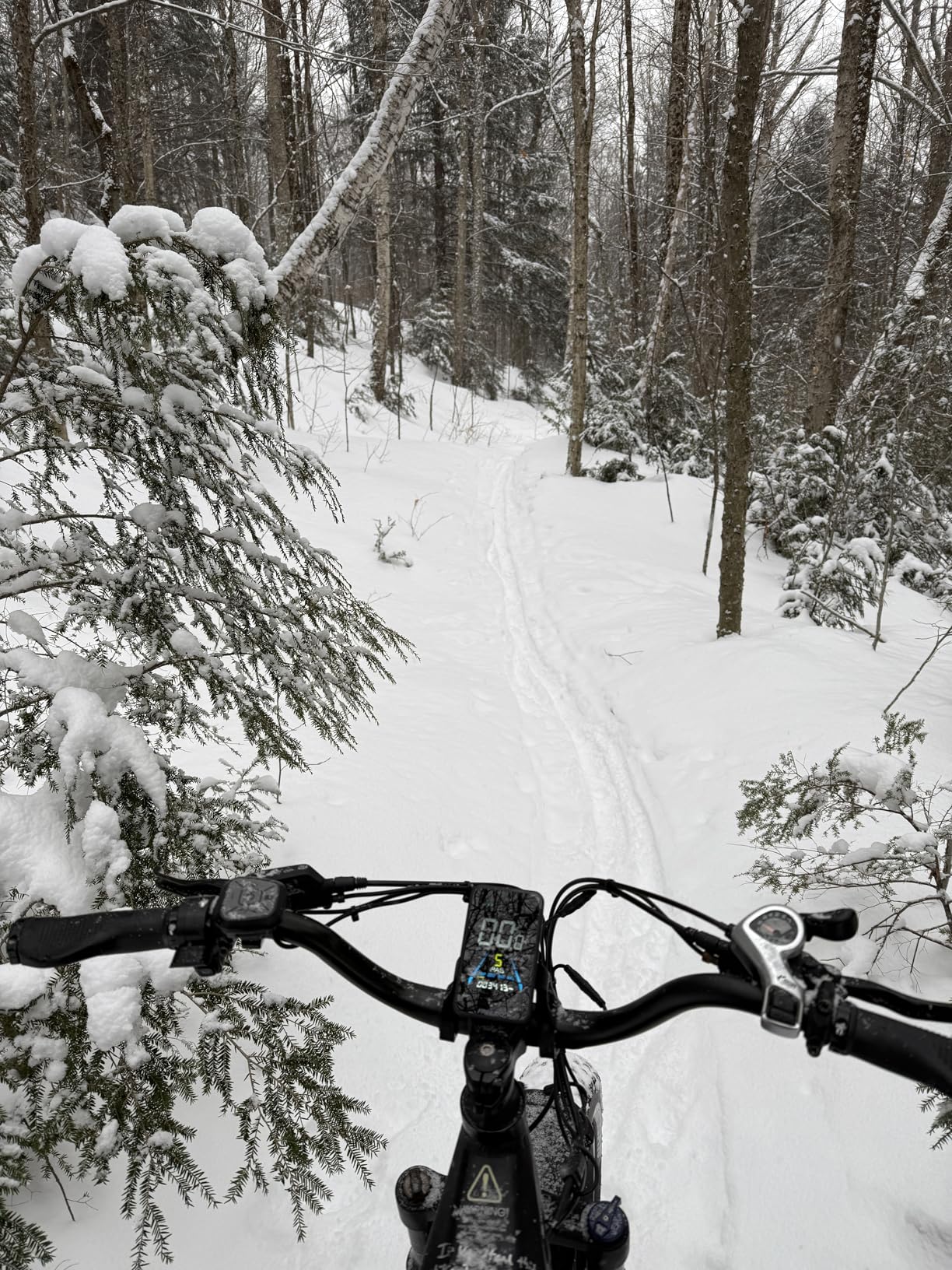 FREESKY Wildcat Ultra 3000W Motor Samsung Battery Electric Bike for Adults 105mile Long Range Step-Thru Ebike 37MPH Fast Dirt E Bike 25Ah 26'' Fat Tire Electric Bicycle Full Suspension for Commute customer photo 2