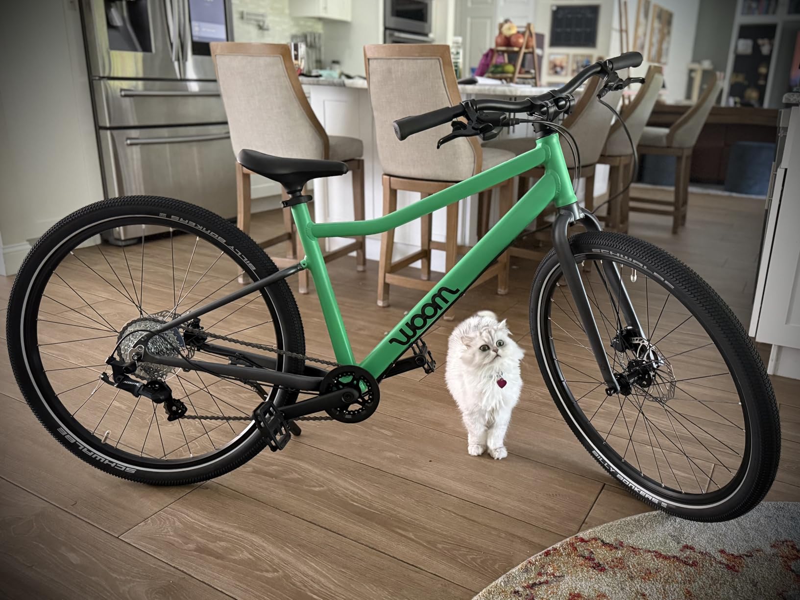 woom Explore Bicycle for Kids 6-14 Years Old, Road & Mountain Ready Bikes for Advanced Riders with Powerful Disc Brakes for Boys & Girls (20