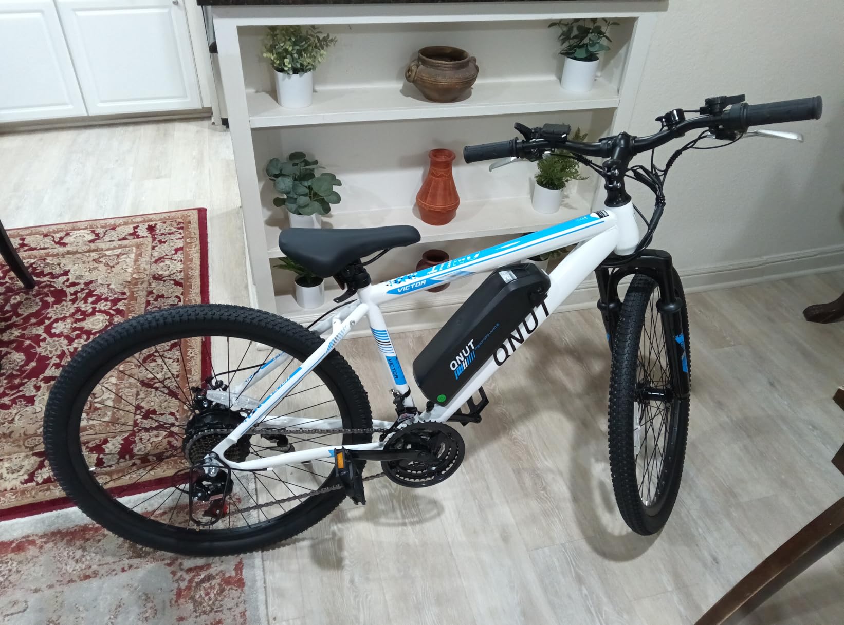Electric Bike for Adults Peak 1000W Motor 26