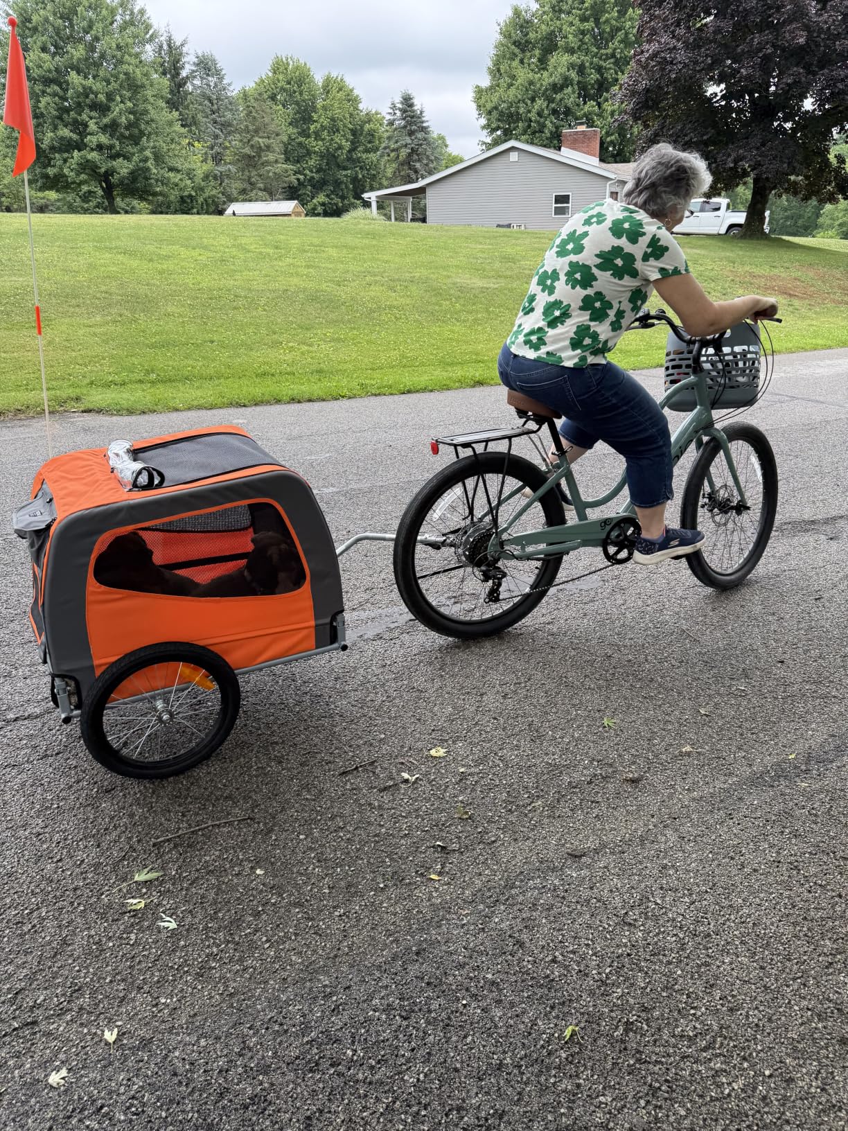 VEVOR Dog Bike Trailer, Supports up to 66 lbs, Pet Cart Bicycle Carrier for Small & Medium Dogs, Easy Folding Frame with Quick Release Wheel, Universal Bicycle Coupler, Reflector, Flag, Internal Leash customer photo 1
