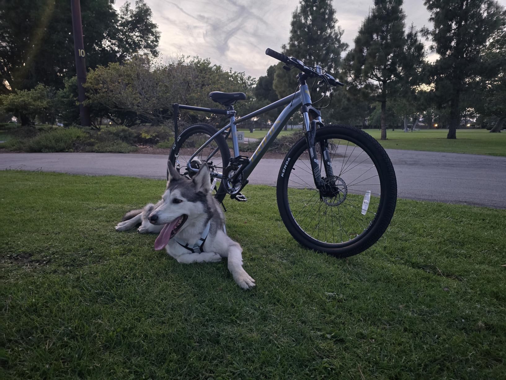 TRIFOX 26 Inch Aluminum Mountain Bike with Shimano 21-Speed customer photo 1