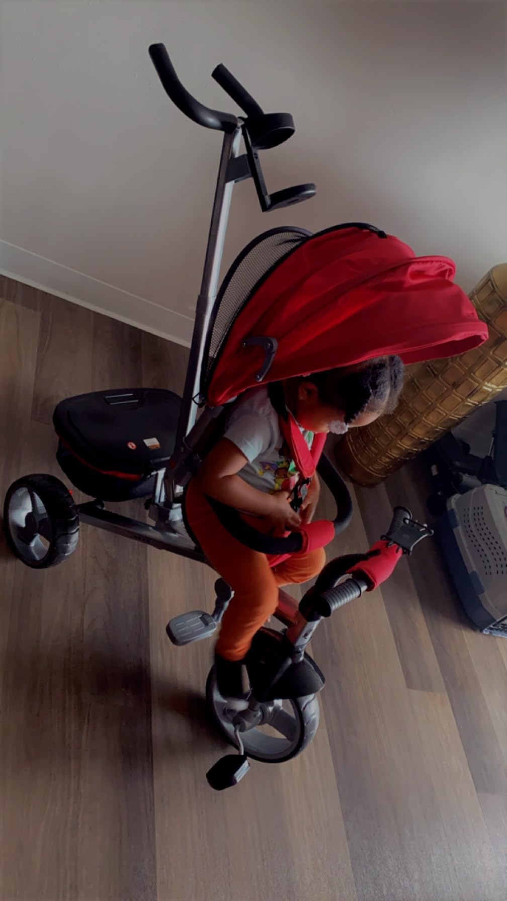 Huffy Malmo Ultra 4-in-1 Convertible Toddler Tricycle with Parent Push Handle, Removable Canopy & Cup Holder, Kids Training Trike for Boys & Girls Ages 1.5 to 3 Years, Multiple Color Options customer photo 2