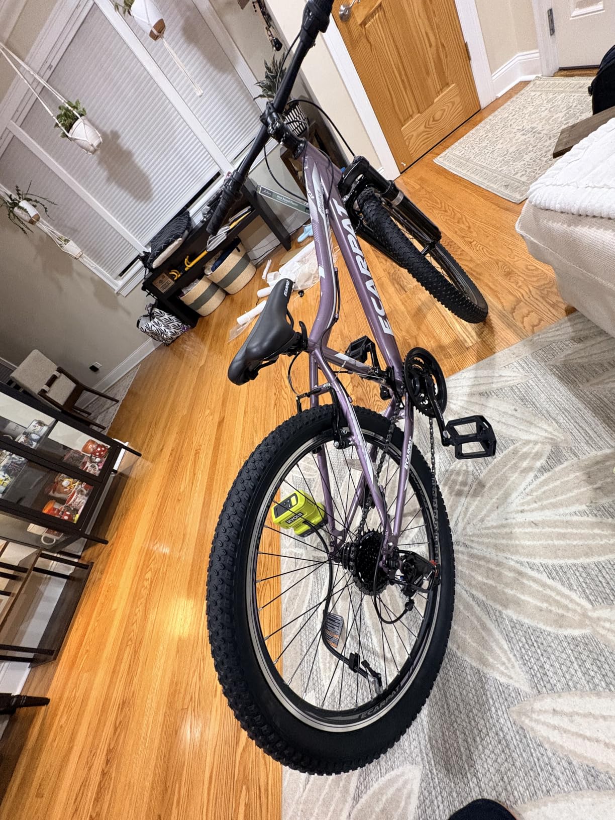 Ecarpat 24 26 Inch Women Girls Mountain Bike, Disc/V Brakes 21 Speeds Women MTB Bike, Steel Frame and Front Suspension Fork, Stylish Adult and Teens Sport Bicycle for Urban Trail Commuter customer photo 1