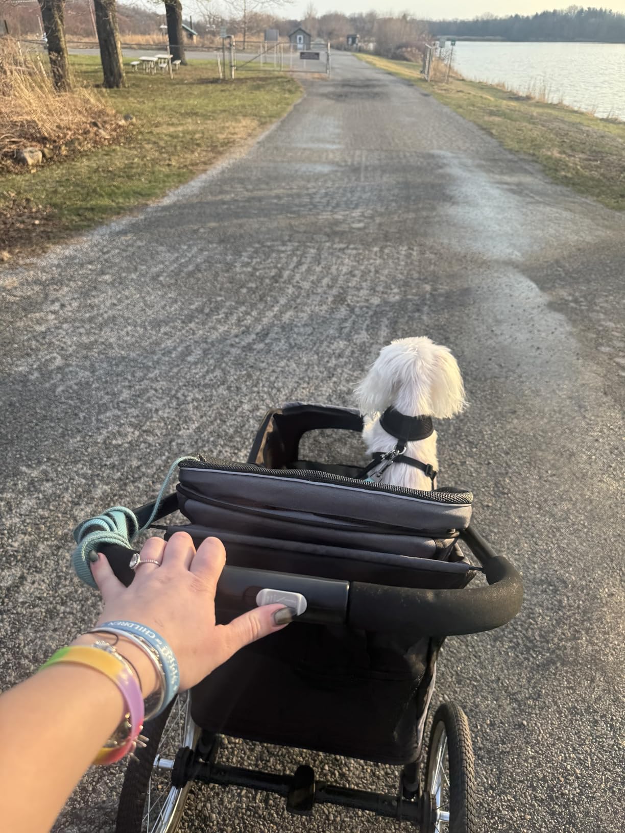 PawHut 3 Wheels Pet Stroller Foldable Jogger for Medium Dogs Dark Green | Adjustable Canopy, Safety Tether, Cushion, Storage Basket, Portable for Medium Dogs and Cats customer photo 1