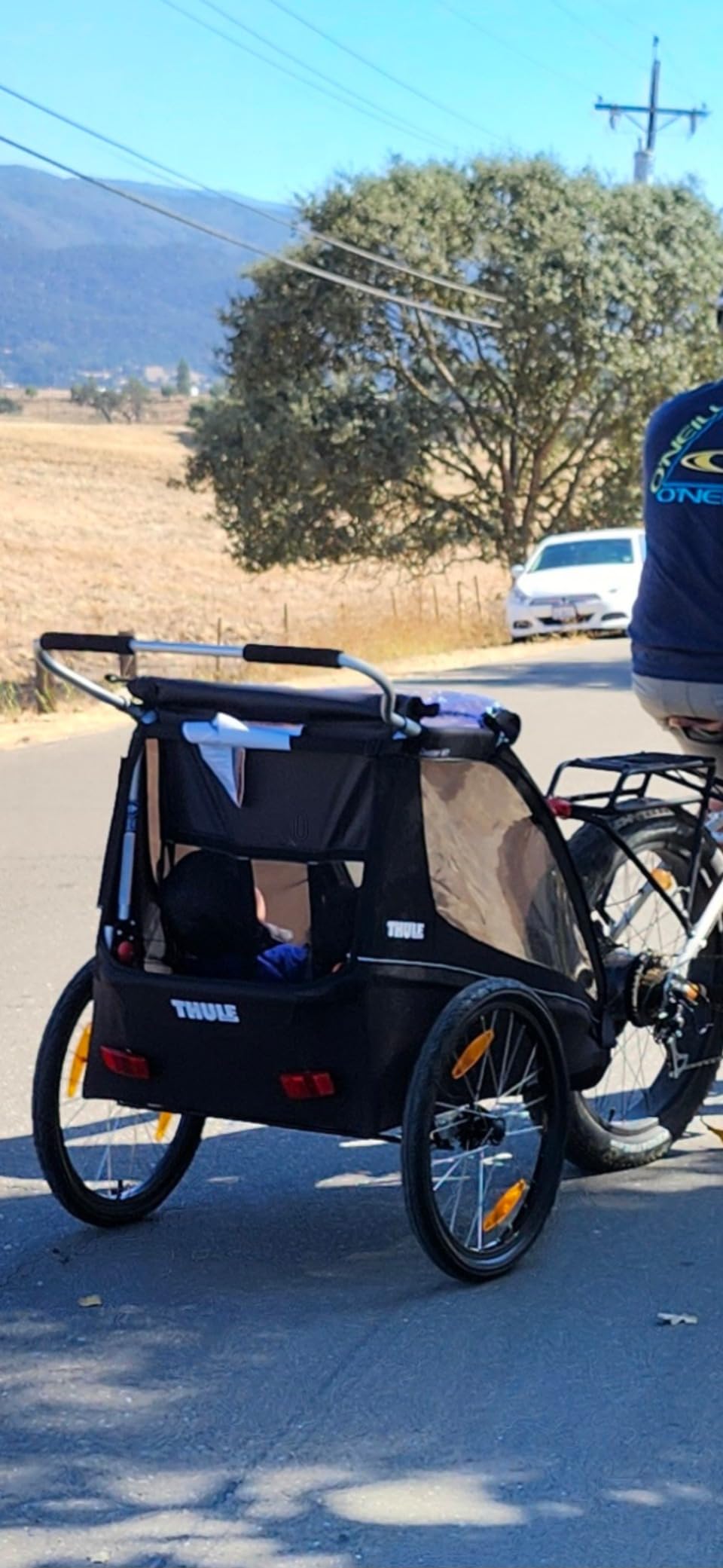 Thule Coaster XT 2-Seat Bicycle Trailer & Stroller customer photo 1