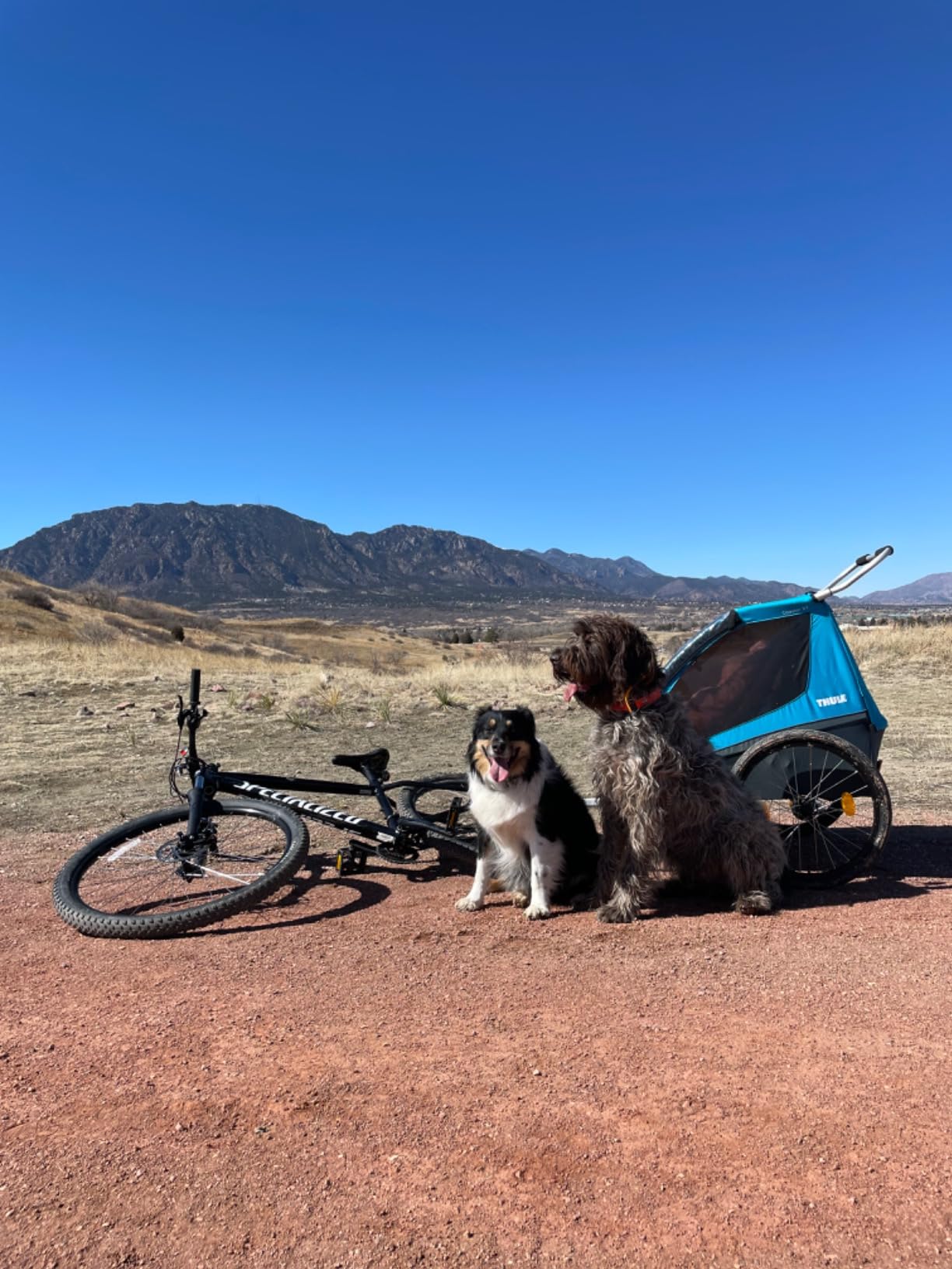 Thule Coaster XT 2-Seat Bicycle Trailer & Stroller customer photo 2