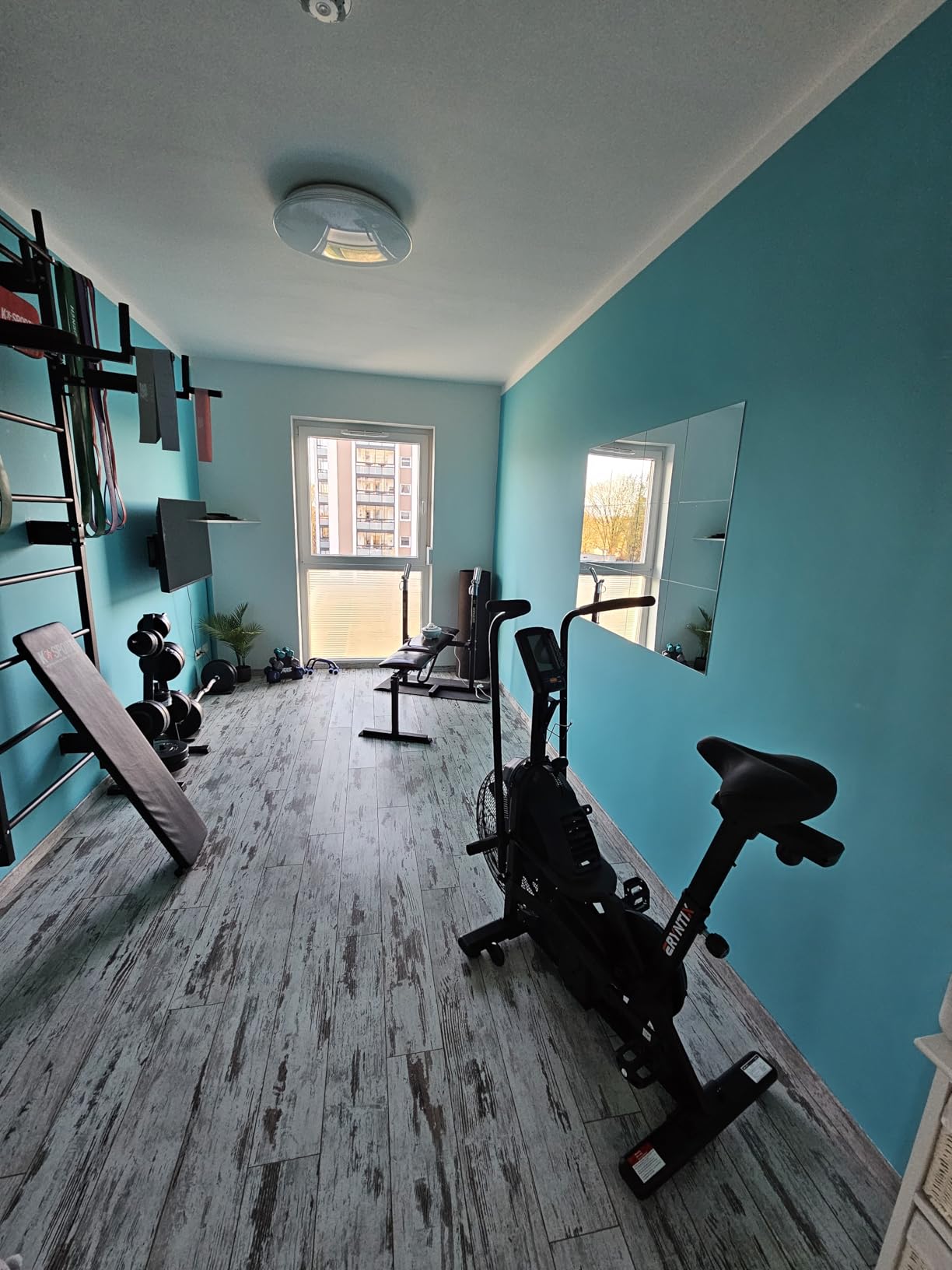 Dual Resistance Air Bike, Magnetic & Air Fan Bike with APP Connection, ISCC PLUS Certified Wind Bikes, Dual-Action Handlebars for Home Gym HIIT Cardio Full Body Workout (350LBS Capacity) customer photo 1