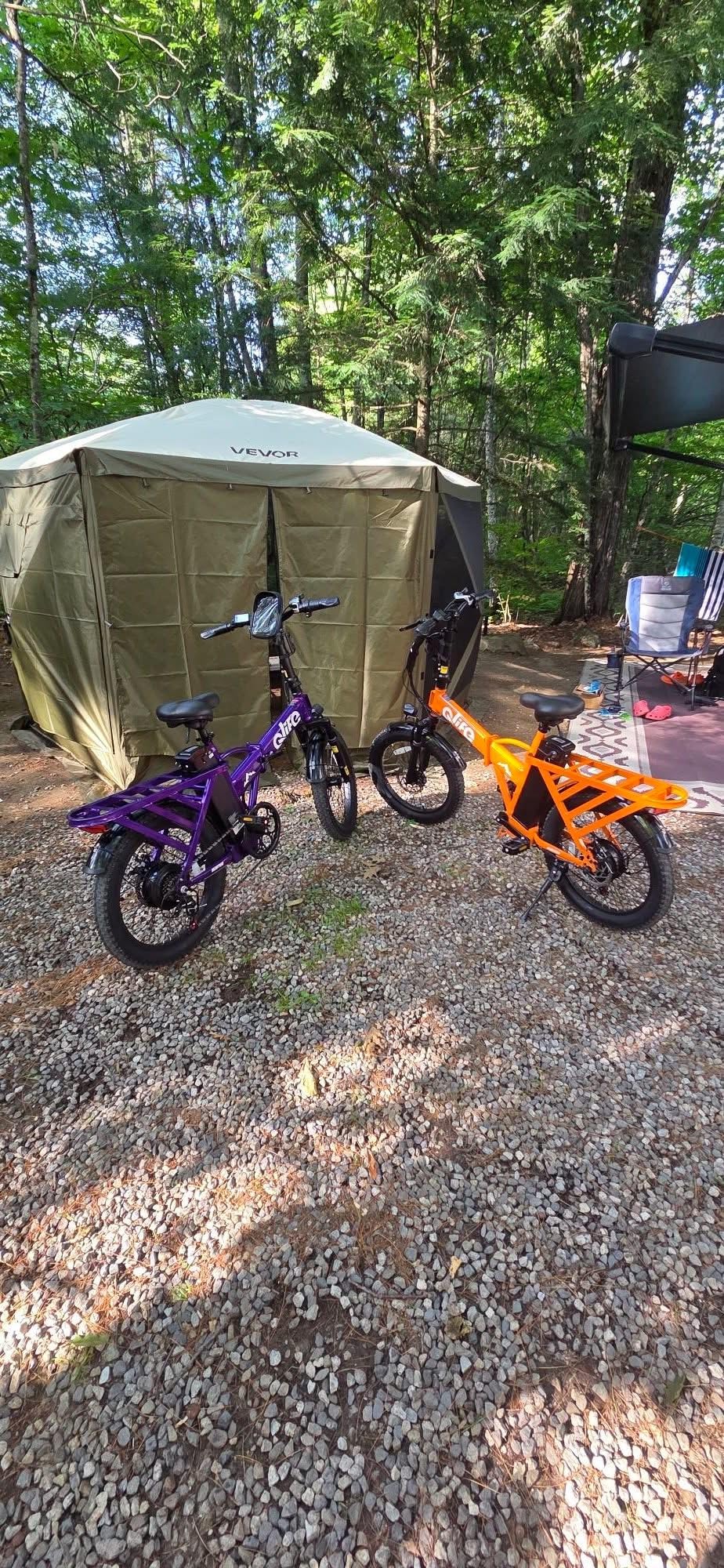 Qlife Hunter/Hunter Plus Foldable Electric Bike, Peak 1200W/1500W Ebike with 48V 13.5Ah/20Ah Battery, 65-90 Miles Range, Heavy-Duty Rear Rack, 20