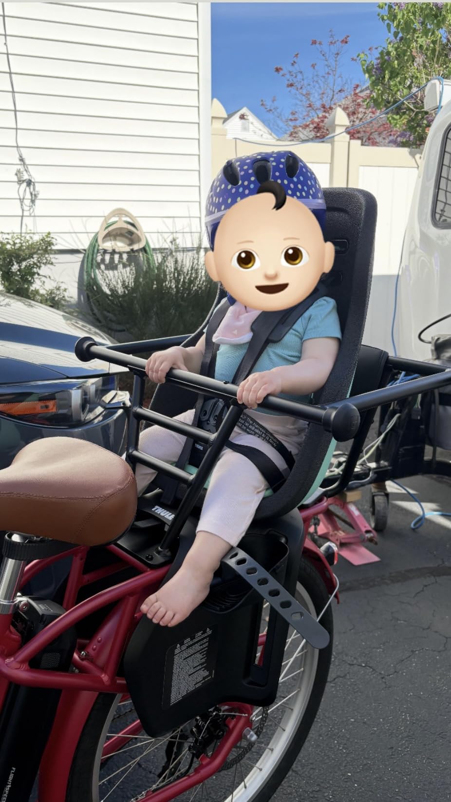 Thule Yepp Nexxt2 Frame Mount Child Bike Seat customer photo 2