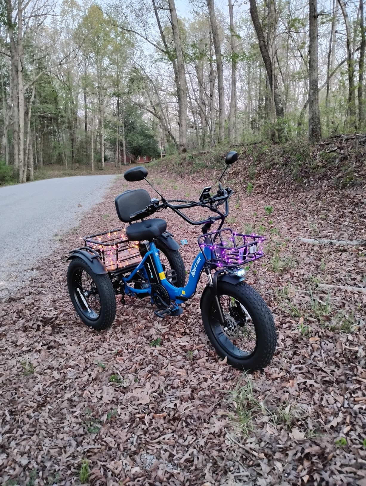 NARRAK Electric Tricycle for Adults - Fat Tire Folding Electric Trike, 3 Wheels Electric Bicycle, Peak 1350W Step-Thru Etrike with Removable Battery and Large Basket customer photo 2