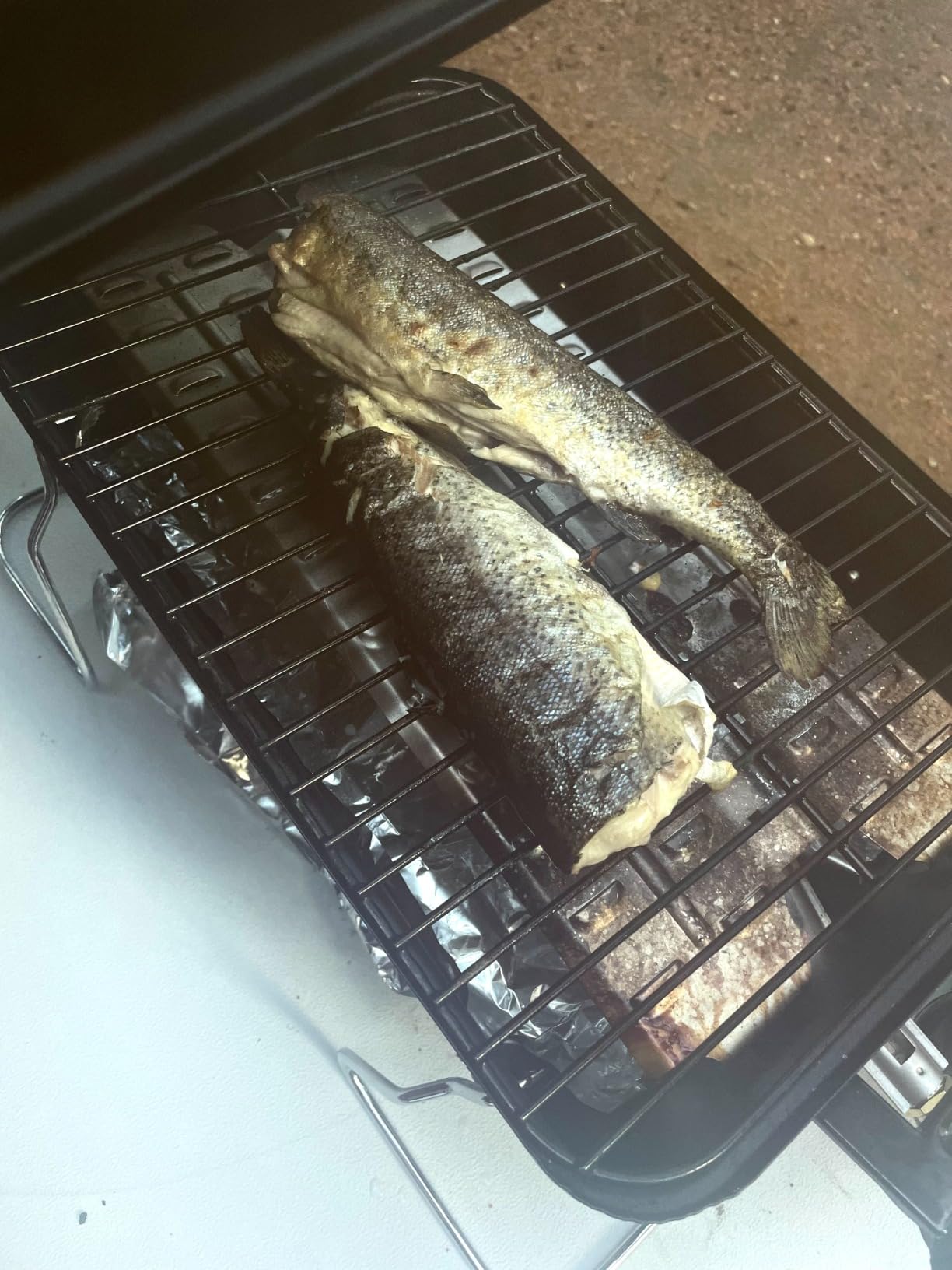 Charbroil Portable Propane customer photo 2