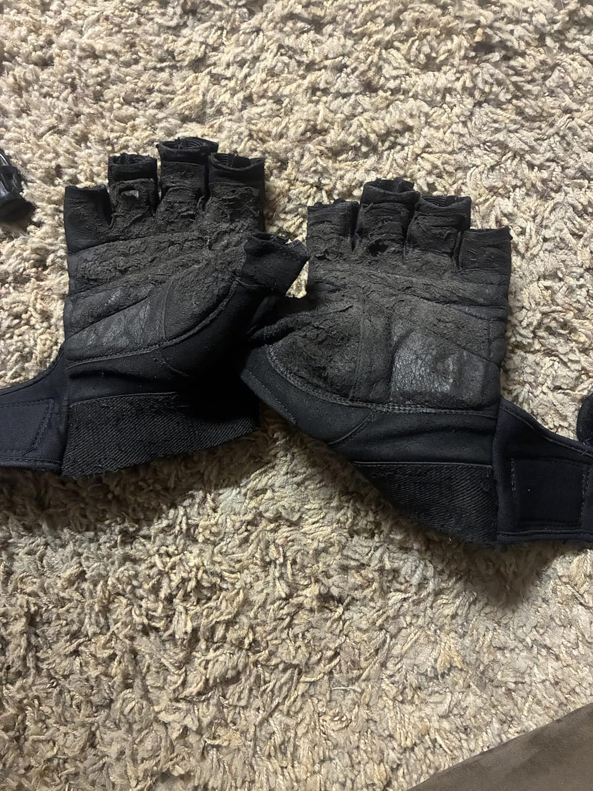 Schiek Sports 540 Platinum Lifting Gloves, Gym Workouts | Wrist support, weight training, durable grip, comfortable palm padding, weightlifting gloves, sports wrap, gym gloves for men customer photo 1