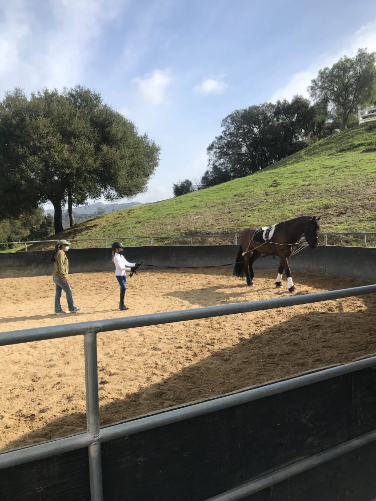 Pessoa Lunging System customer photo 1