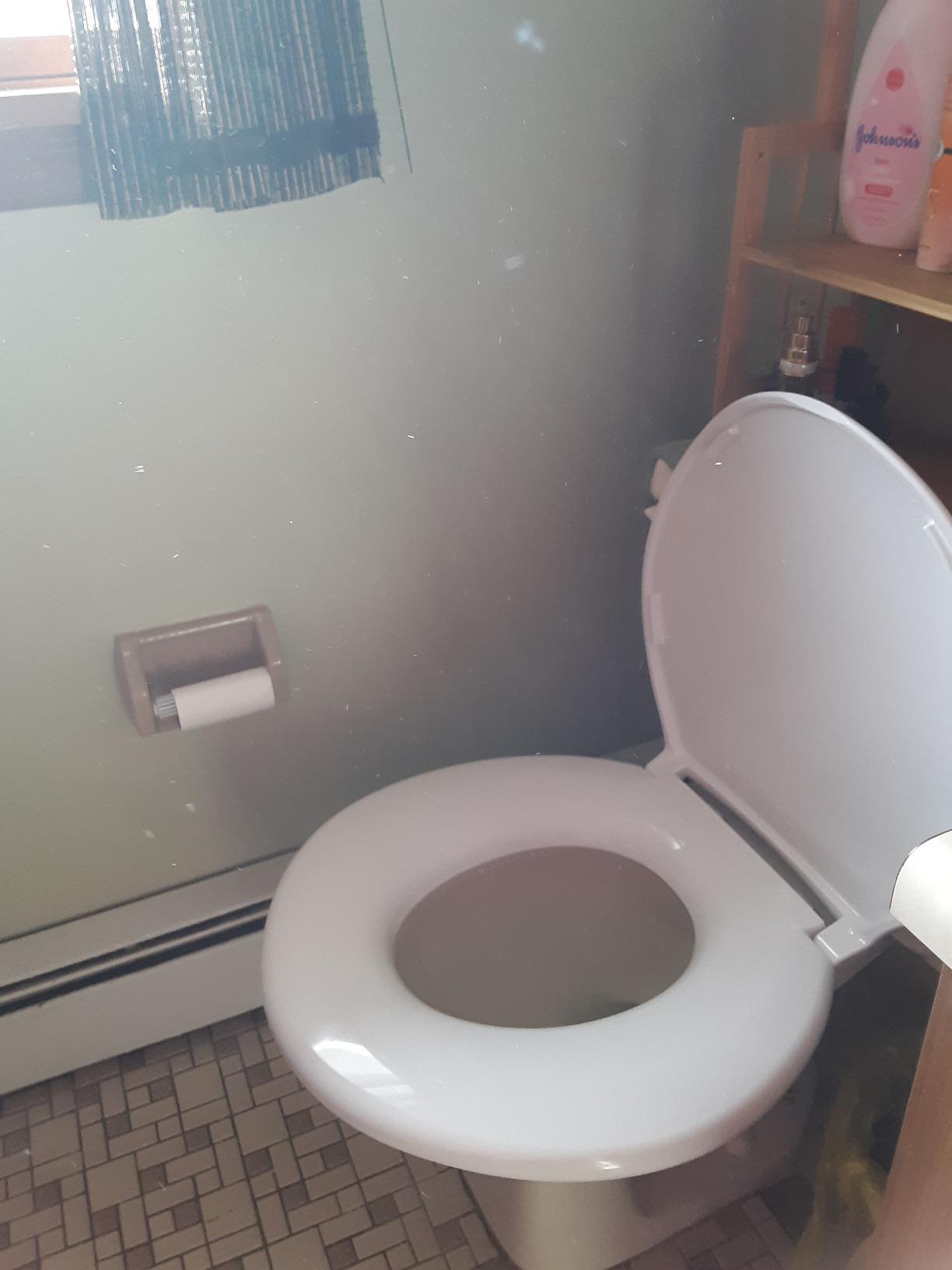 Big John Products 6W Big John 6-W Oversized Seat with Cover - for Round Or Elongated Toilet Bowls - Weight Capacity 800 Pounds - White, Large customer photo 2