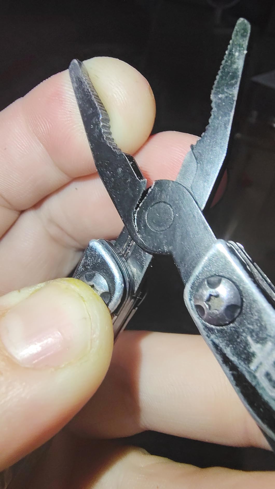 Gerber Dime 12-in-1 Mini Multitool Pliers, Pocket Knife, Bottle Opener, Black | Needle nose pliers, pocket knife, bottle opener, scissors, 12 tools, compact EDC gear, camping, keychain clip, gifts for men customer photo 1
