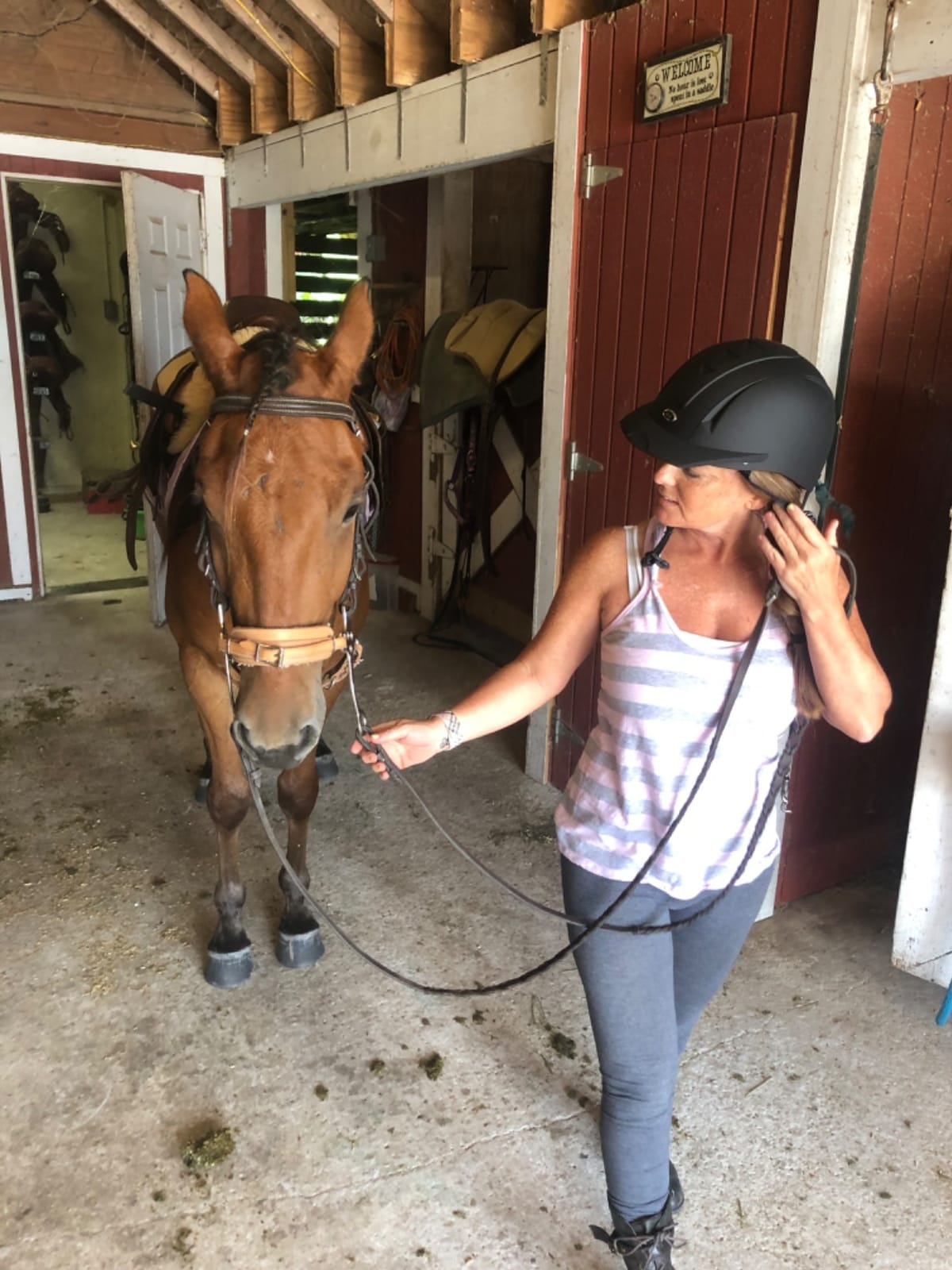 IRH Equi-Pro II Deluxe Adult Schooling Helmet customer photo 2