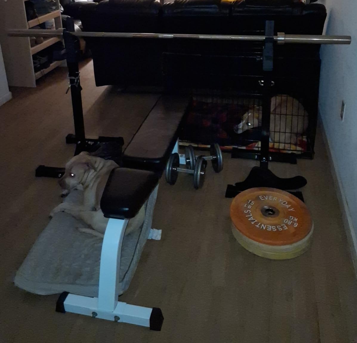 F2C Max Load 550Lbs Pair of Adjustable Squat Rack 41