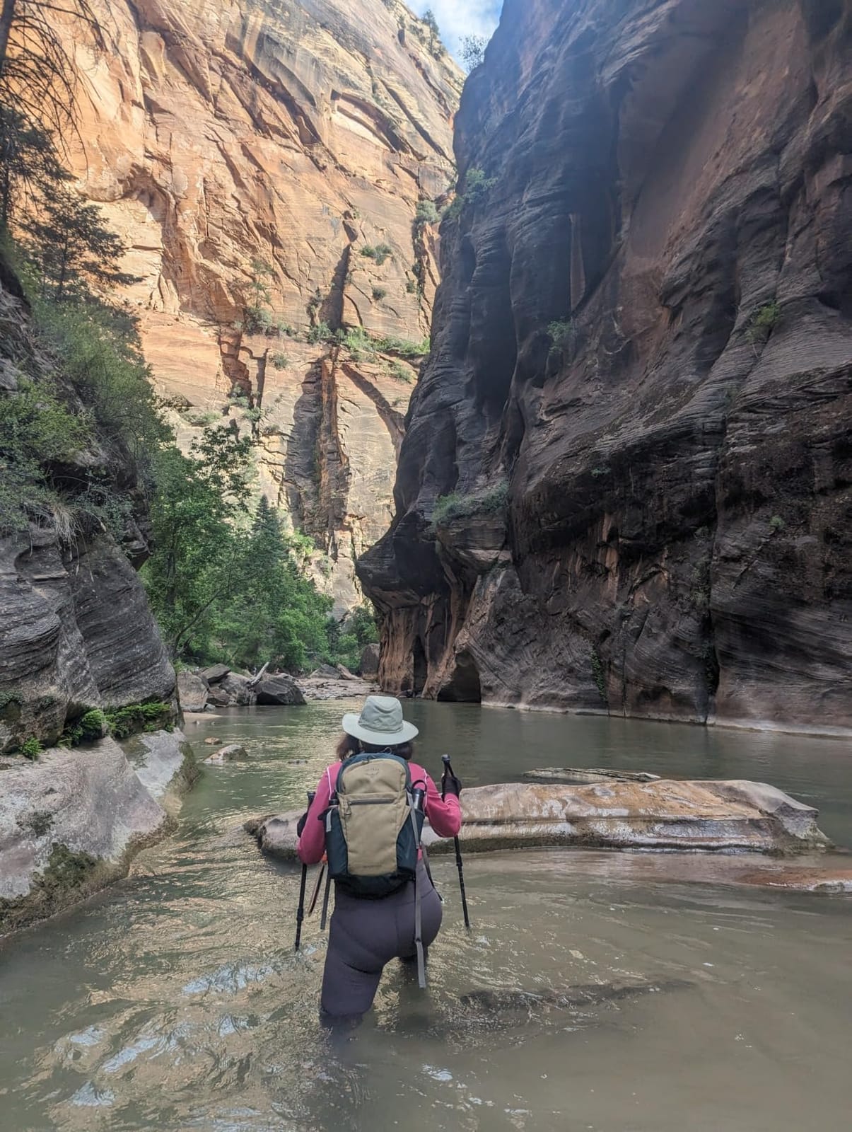 100% Carbon Fiber Trekking Poles by USA Brand - Ultra Strong Lightweight Collapsible Hiking Poles with Cork and EVA Foam Grips & Quick Adjustable Flip Locks customer photo 1
