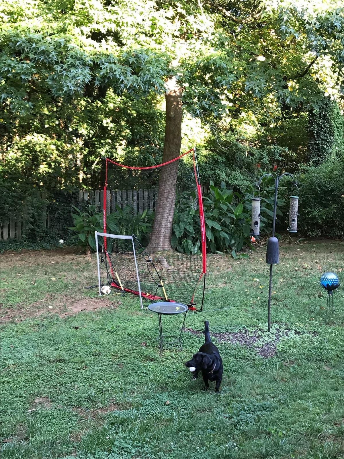 PowerNet Portable Sports Rebounder -Basketball, Volleyball, Soccer, Baseball, Softball and Lacrosse, Backyard & Garage Backstop, Indoor Outdoor Safety Net for Protection customer photo 1
