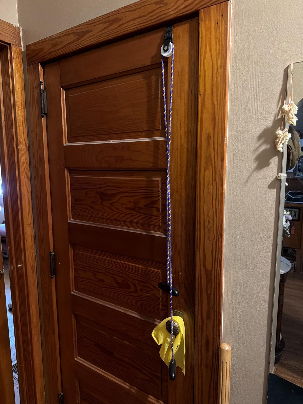 Therapist's Choice Shoulder Pulley, Over The Door, with Patient Guide. Aids Recovery and Rehabilitation of Shoulder, Rotator Cuff, Shoulder Pain, Frozen Shoulder, Pain Free Range of Motion (Blue) customer photo 1
