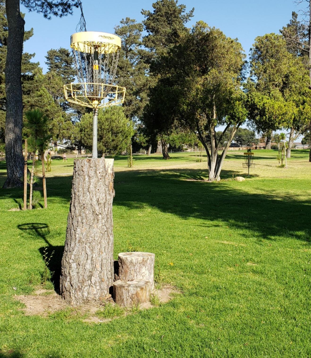 Innova Disc Golf Set - Driver, Mid-Range & Putter, Comfortable DX Plastic, Colors May Vary (3 Pack) customer photo 1