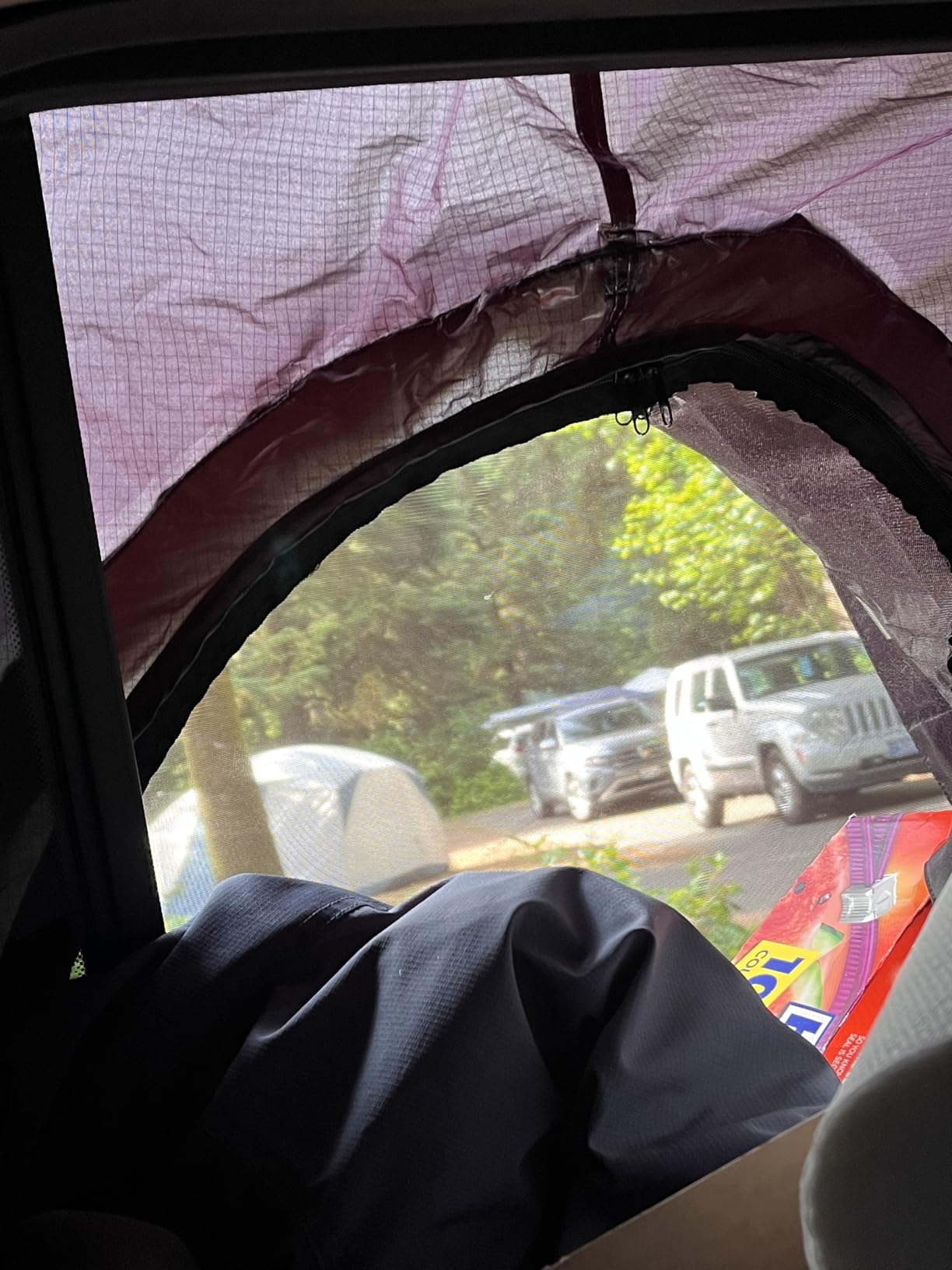 ROADIE- The OVERNIGHTER SUV Window Tent with Bug Screen and Retractable Awning – Great for Camping in an SUV. (Patented) customer photo 2