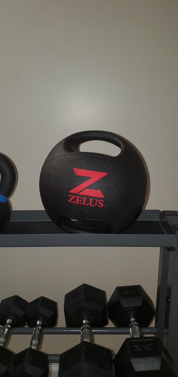 ZELUS Medicine Ball with Dual Grip | 10/20 lbs Exercise Ball | Weight Ball with Handles | Textured Grip Exercise Ball | Strength Training | Core Workouts customer photo 2