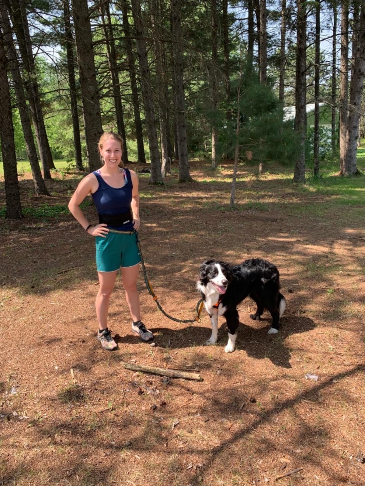 Pet Dreamland Exquisite Hands Free Leash for Large Dogs. Ultimate Comfort & Freedom for Running, Walking and Hiking. Premium Quality, Durable & Versatile Dog Walking Belt. customer photo 2