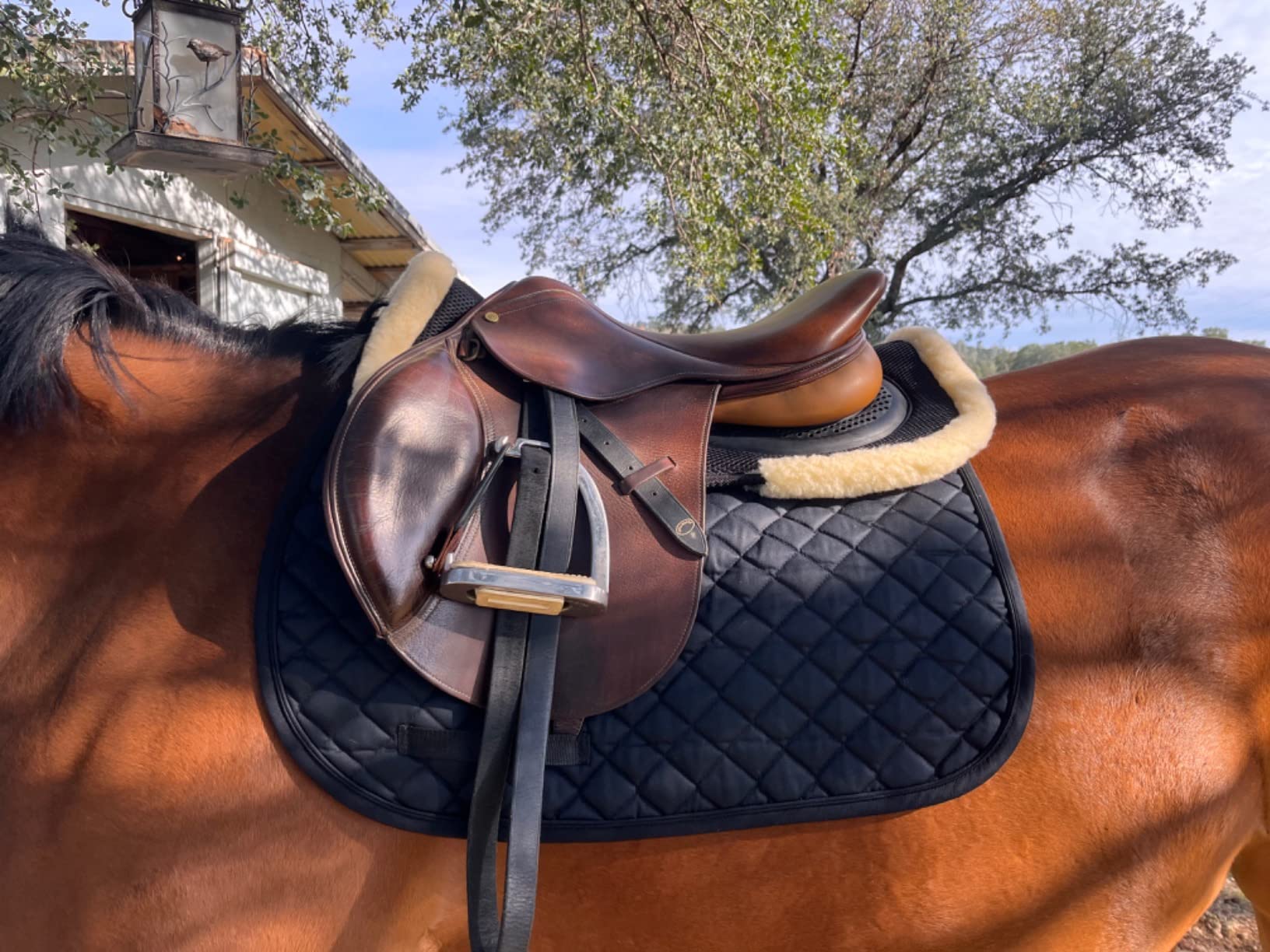 Kavallerie 3D Air-Mesh Half Pad, Impact Protection & Therapeutic Gel Padding English Saddle customer photo 1