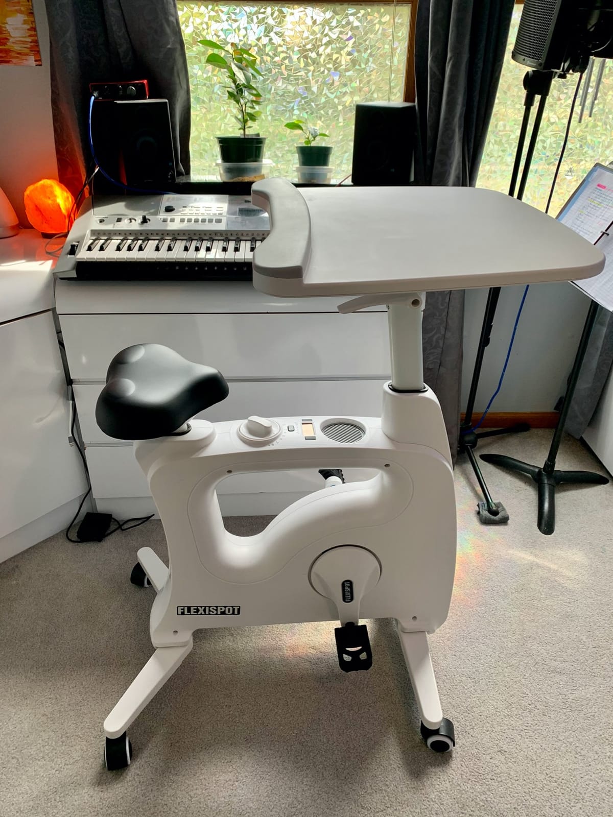 FLEXISPOT Exercise Bikes for Home, Space-Saving Integrated Desk Bike, Stationary Bikes Indoor Bikes with 8-Level Resistance, 2D Desktop, Optional LCD, V9/V9-MAX customer photo 1