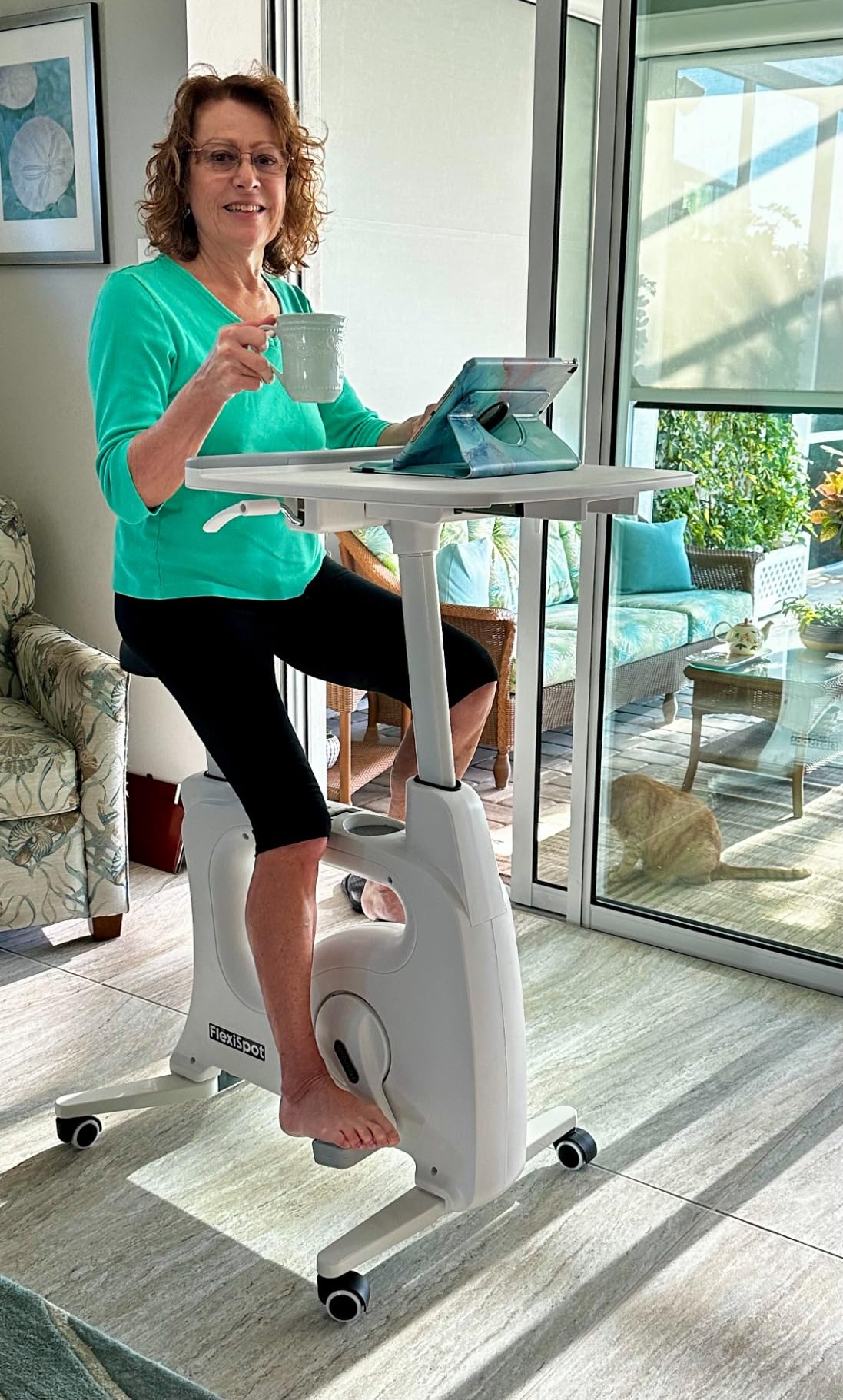 FLEXISPOT Exercise Bikes for Home, Space-Saving Integrated Desk Bike, Stationary Bikes Indoor Bikes with 8-Level Resistance, 2D Desktop, Optional LCD, V9/V9-MAX customer photo 2