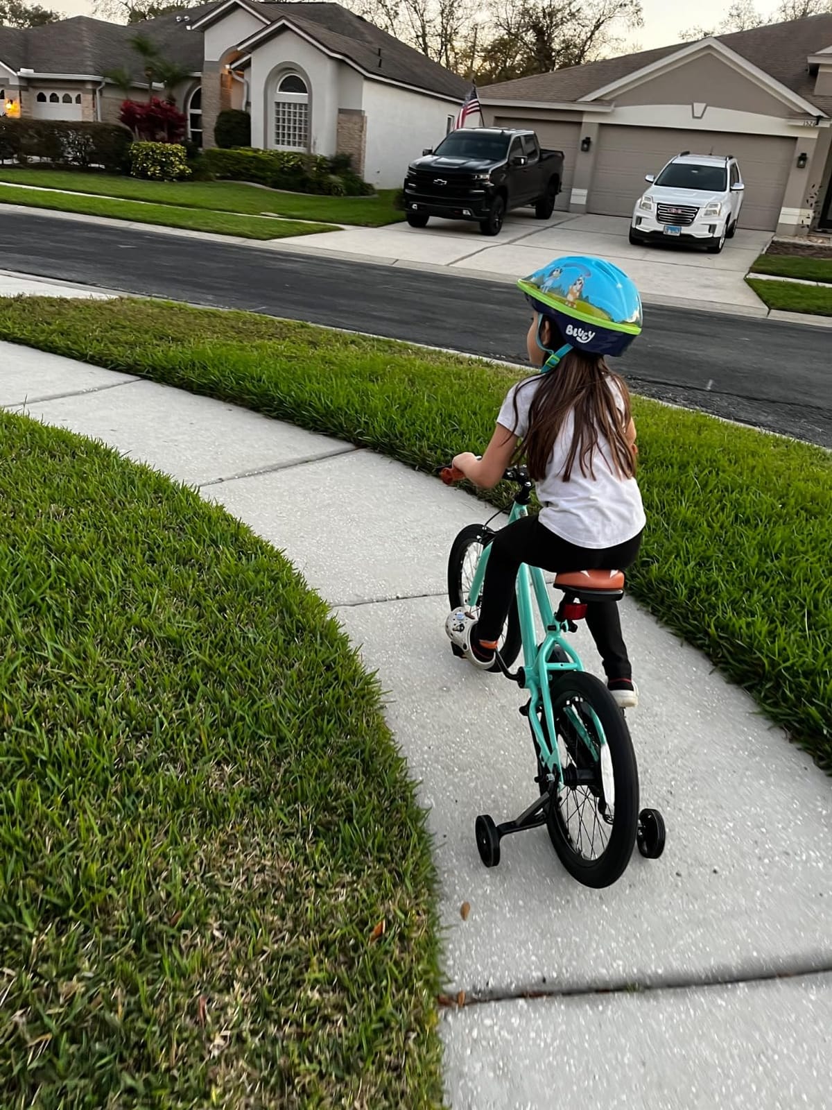 JOYSTAR Kids Bike for Ages 2-12 Years Boys Girls BMX Style Bicycle customer photo 1