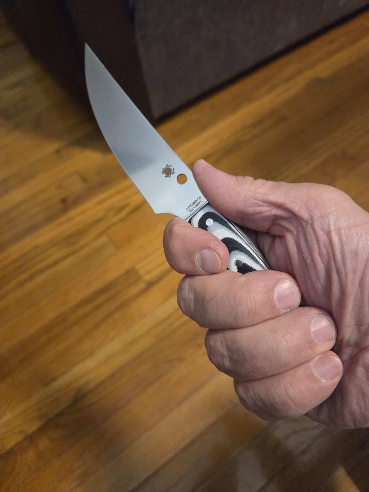 Spyderco Bow River Fixed Blade Outdoor Hunting Knife, PlainEdge | 8.14