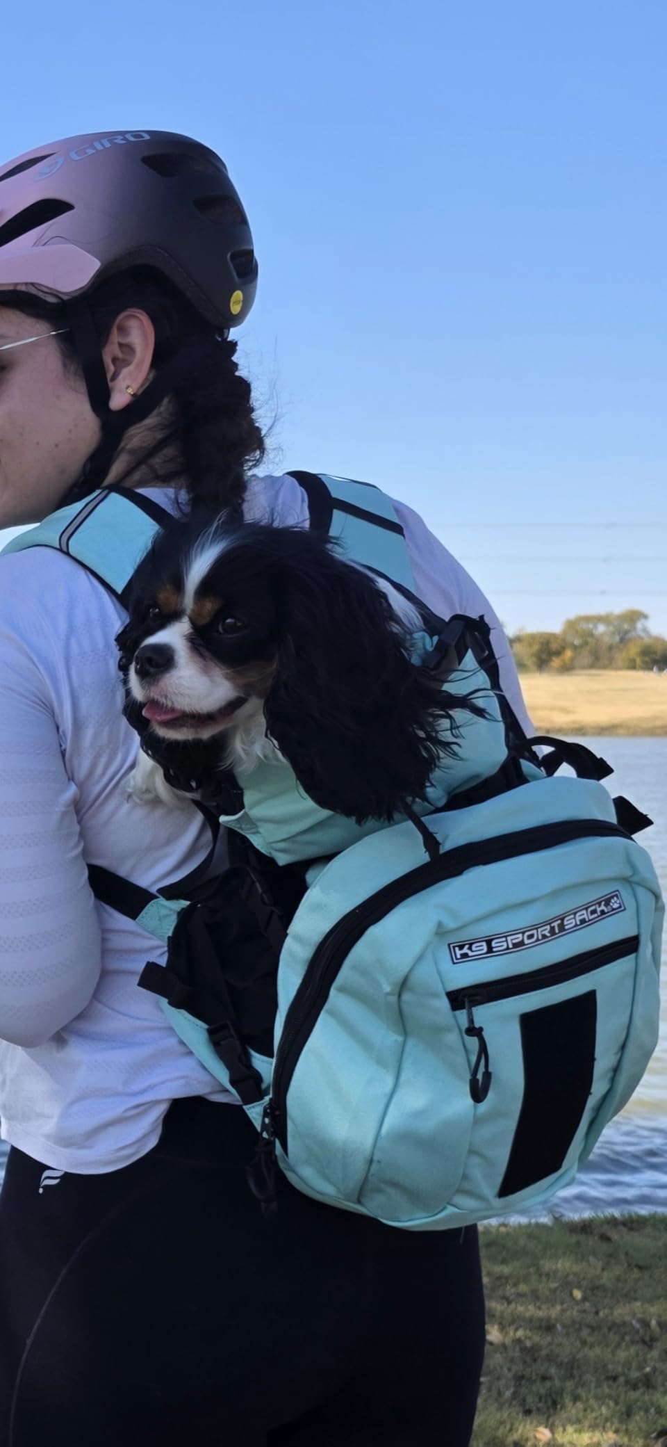 K9 Sport Sack Plus 2 - Large, Summer Mint - Ideal for Dogs 20-22