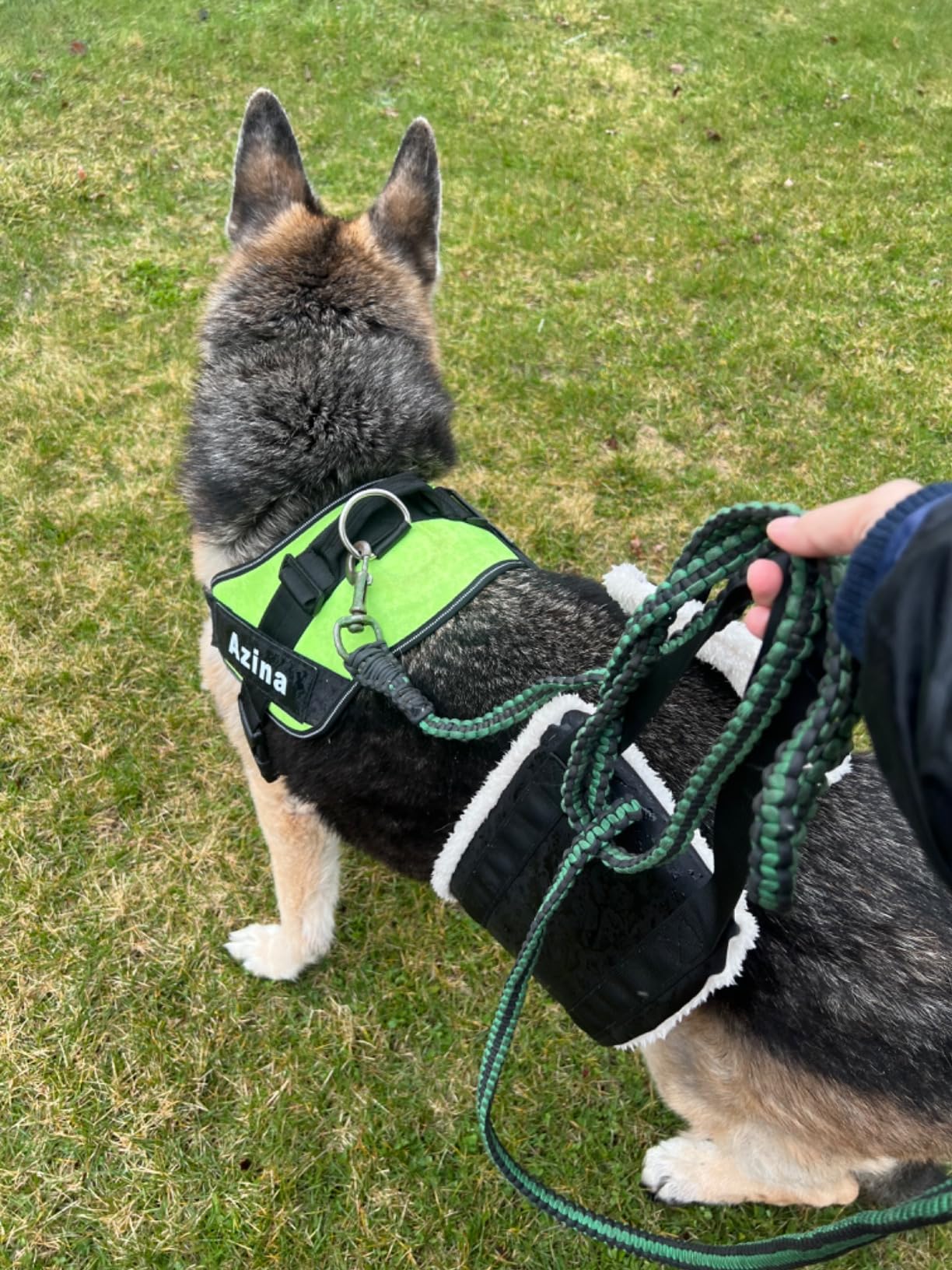 30-120 lbs Dog Sling for Large Dogs Hind Leg Support, Dog Lift Harness for Back Legs, Helps Elderly Pet with Reduced Mobility, Dog Lifter for Walking Canine Arthritis ACL Rehabilitation Rehab. (Black) customer photo 1