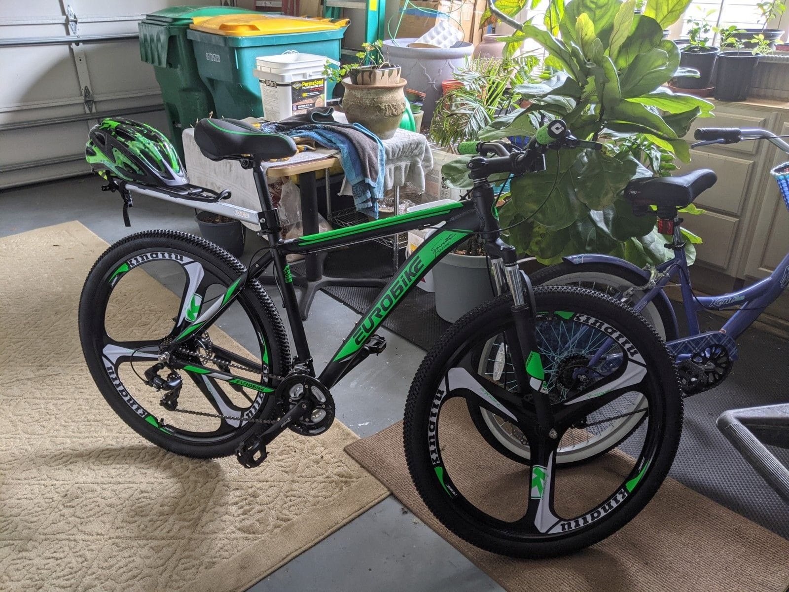 EUROBIKE 29