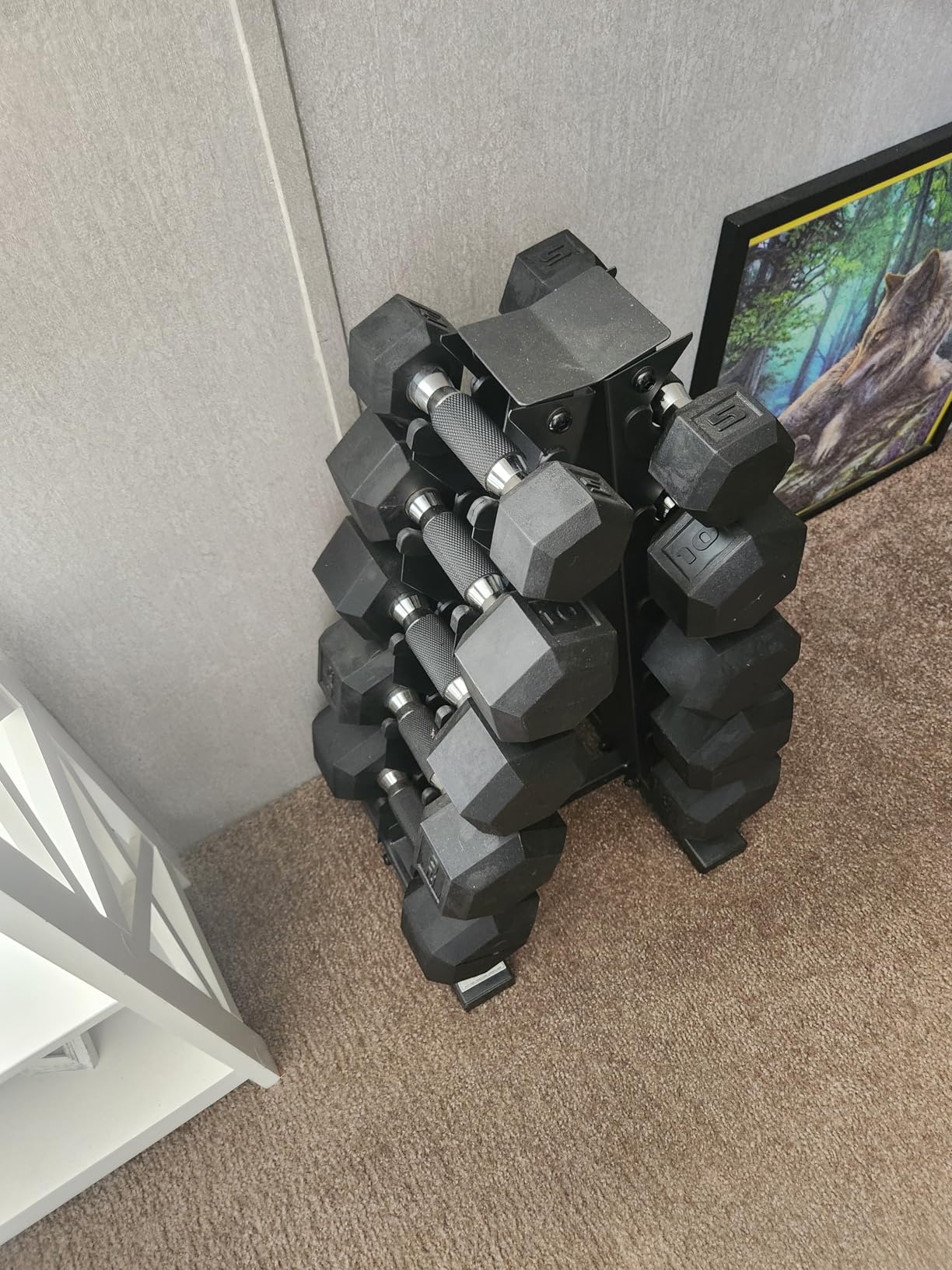 CAP Rubber Coated Dumbbell Weight Set with Vertical Rack | 100 lb, 150 lb, and 210 lb Options customer photo 1