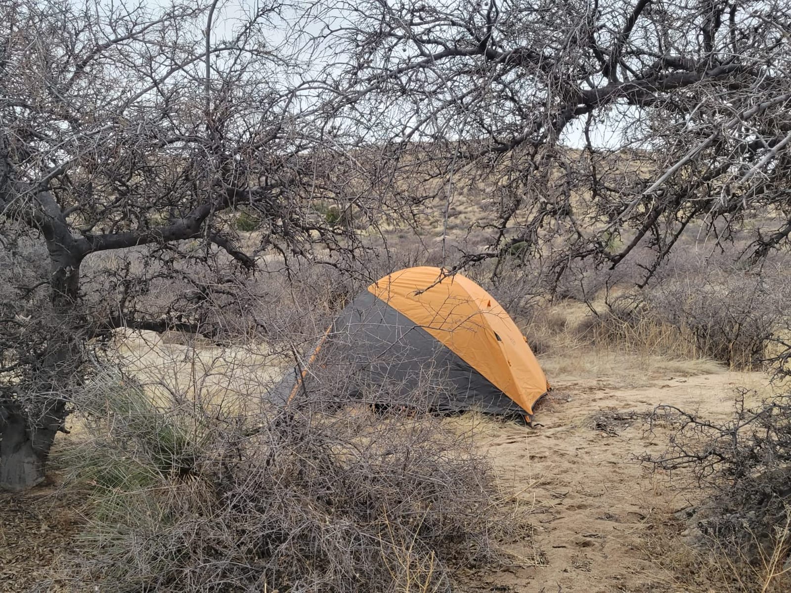 Kelty Grand Mesa 2P or 4P Backpacking Tent - 3 Season Camping, Thru Hiking Shelter, Aluminum Pole Frame, Single Door + Vestibule Model customer photo 1