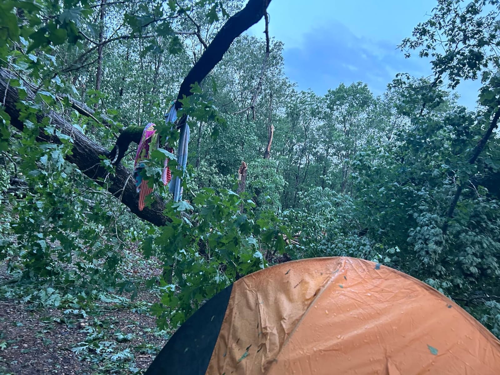 Kelty Grand Mesa 2P or 4P Backpacking Tent - 3 Season Camping, Thru Hiking Shelter, Aluminum Pole Frame, Single Door + Vestibule Model customer photo 2