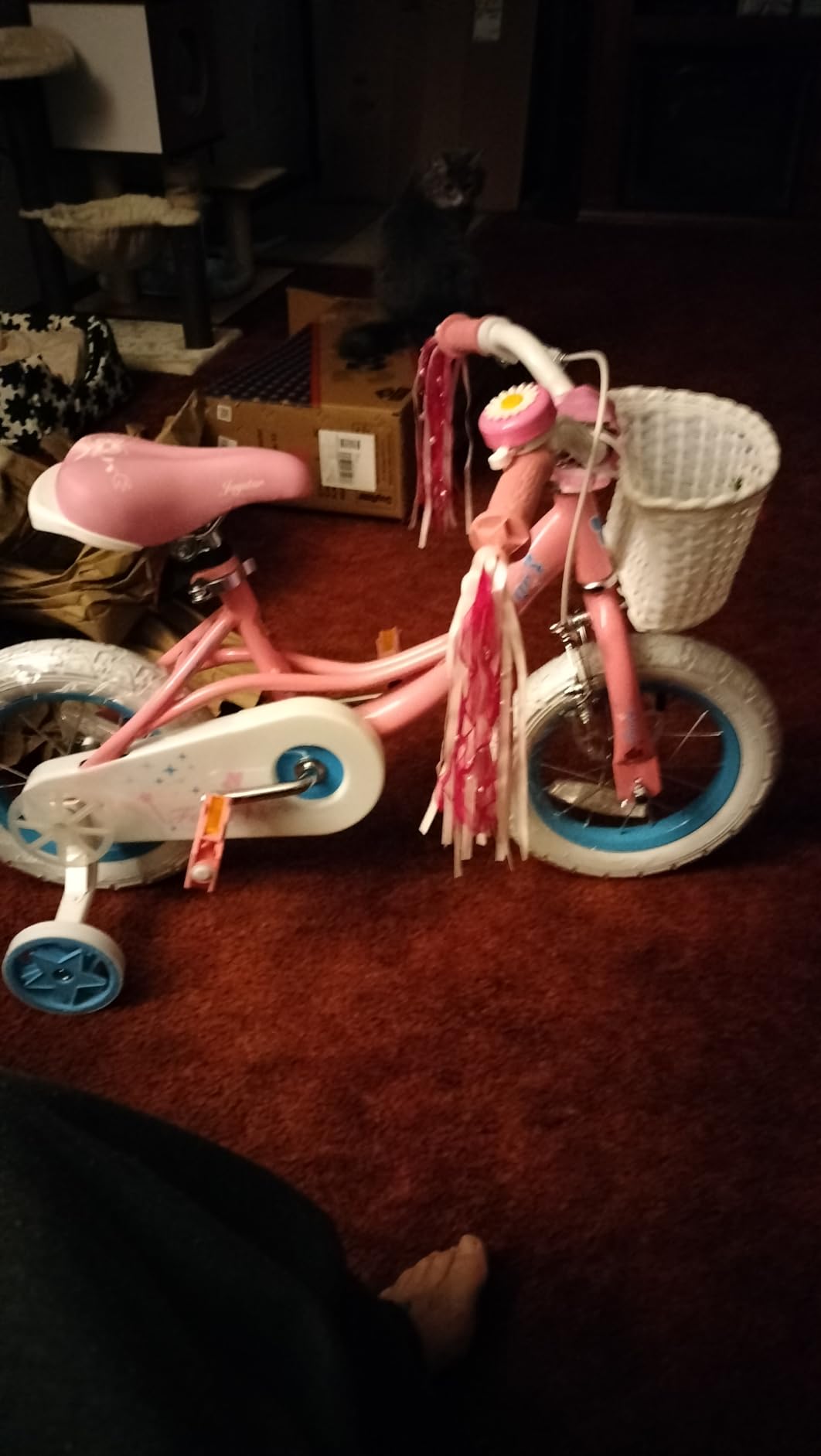 JOYSTAR Fairy Girls Bike for Toddlers and Kids Ages 2-8 Years Old customer photo 1