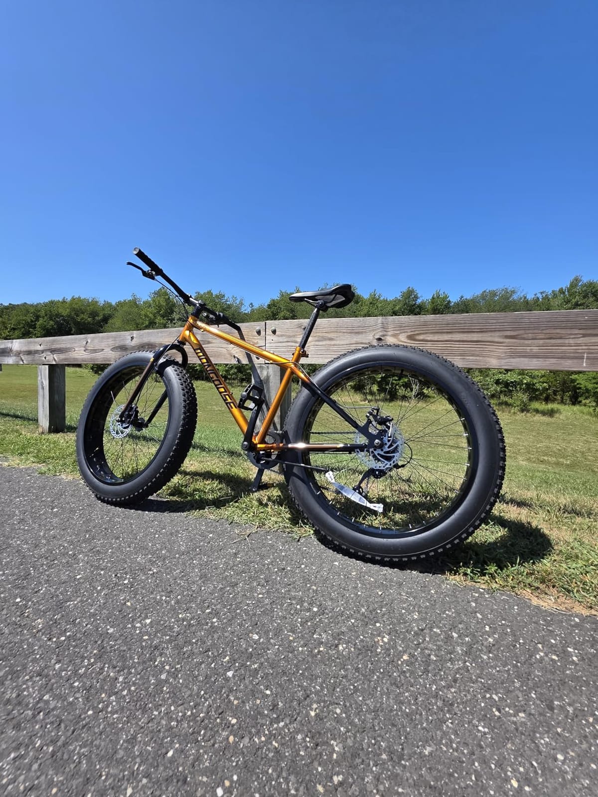 Mongoose Argus Trail or ST Fat Tire Mountain Bike, 20, 24 or 26 Inch Bike for Kids and Adults, 7 or 16 Speed, Aluminum or Steel Frame, Knobby Mountain Fat Tires, Mechanical Disc Brakes customer photo 2