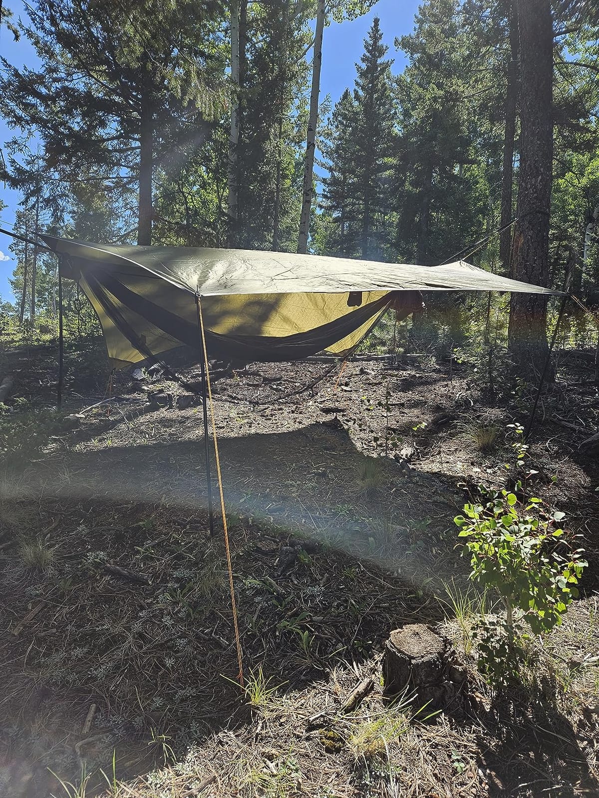onewind 11ft Camping Double Hammock with Mosquito Net, Ridgeline and Straps | 70D Hexagon Ripstop Nylon, No-see-ums Bugnet, 68'' Single Wide Panel, Portable Lightweight Hammock for Hiking Backpacking customer photo 1