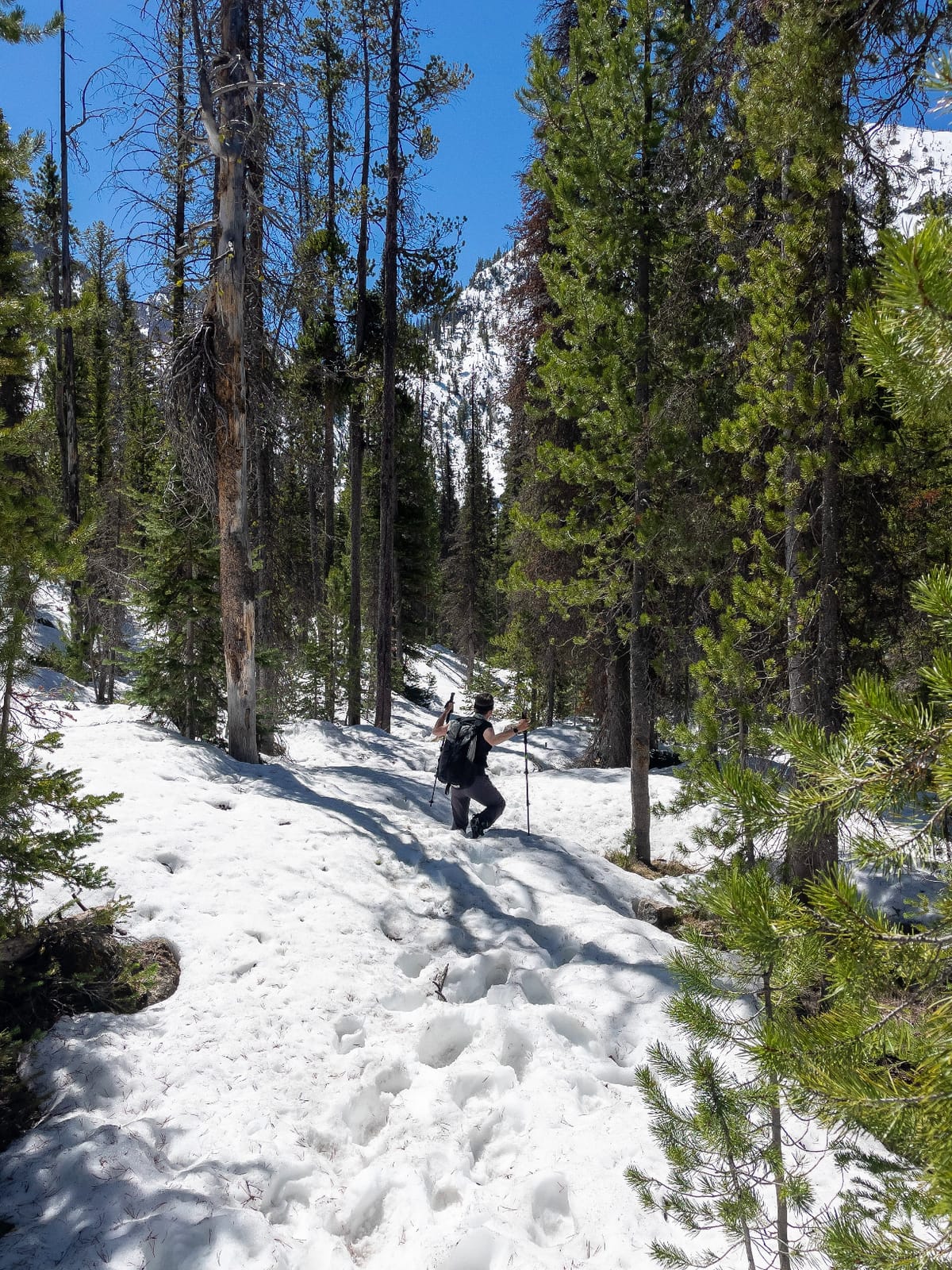 BLACK DIAMOND Distance Spike Traction Device, Winter Hiking Grip, Steel customer photo 2