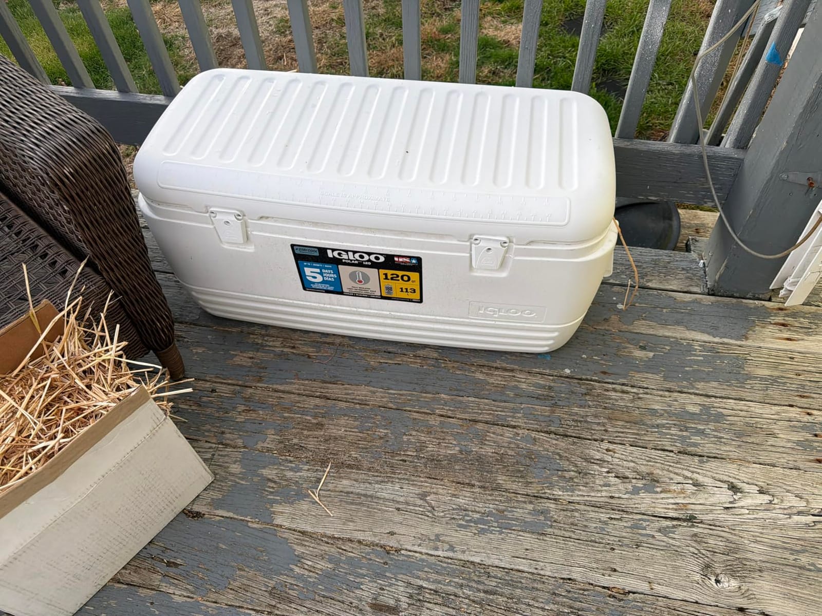Igloo Hard Cooler | Polar & Party Bar Series | Insulated Ice Chests customer photo 1